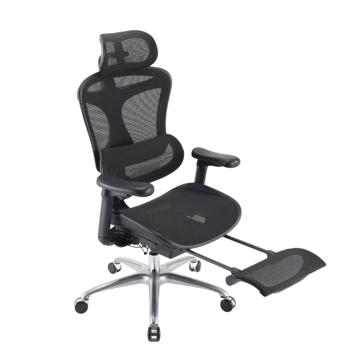 【SIHOO 西昊】C100 自動追腰人體工學椅 黑白兩色