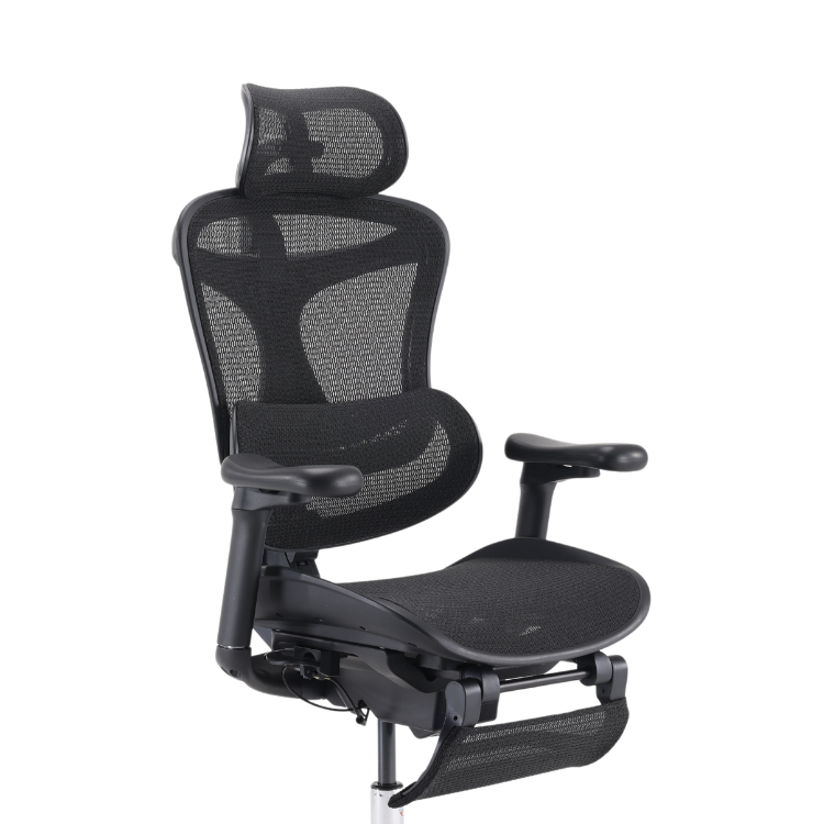 【SIHOO 西昊】C100 自動追腰人體工學椅 黑白兩色