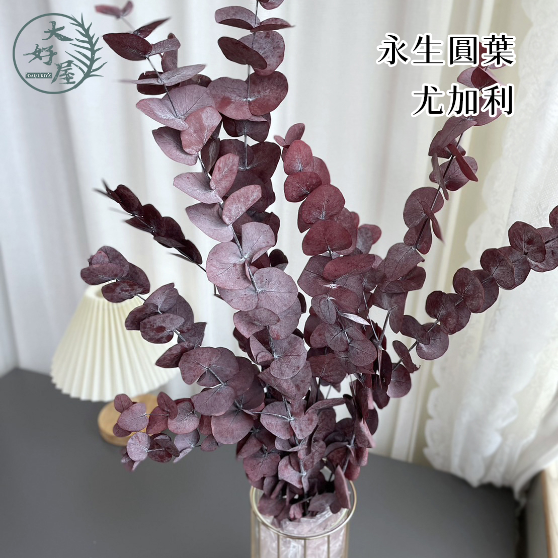 永生圓葉_尤加利【大束】