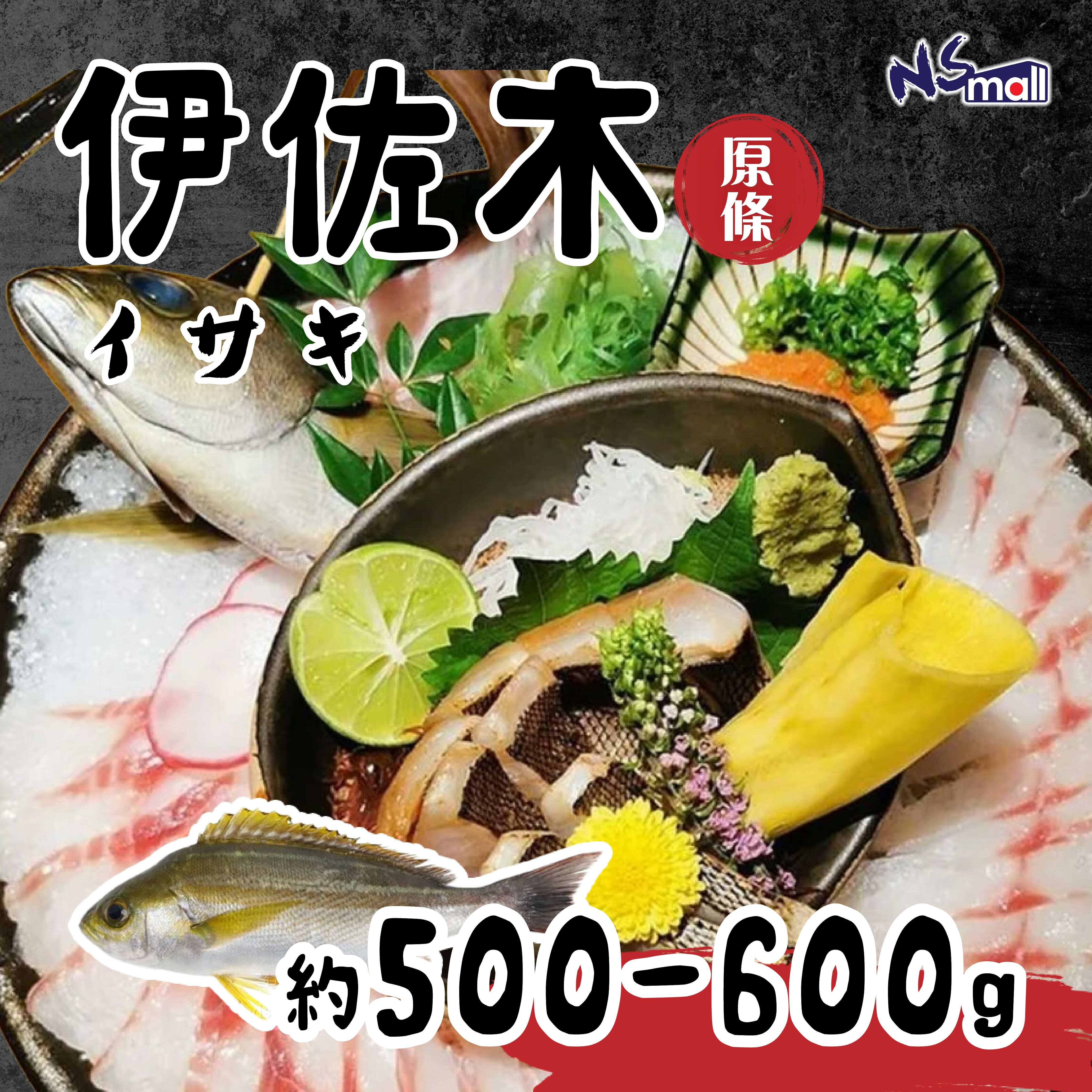 伊佐木 約500-600g/條