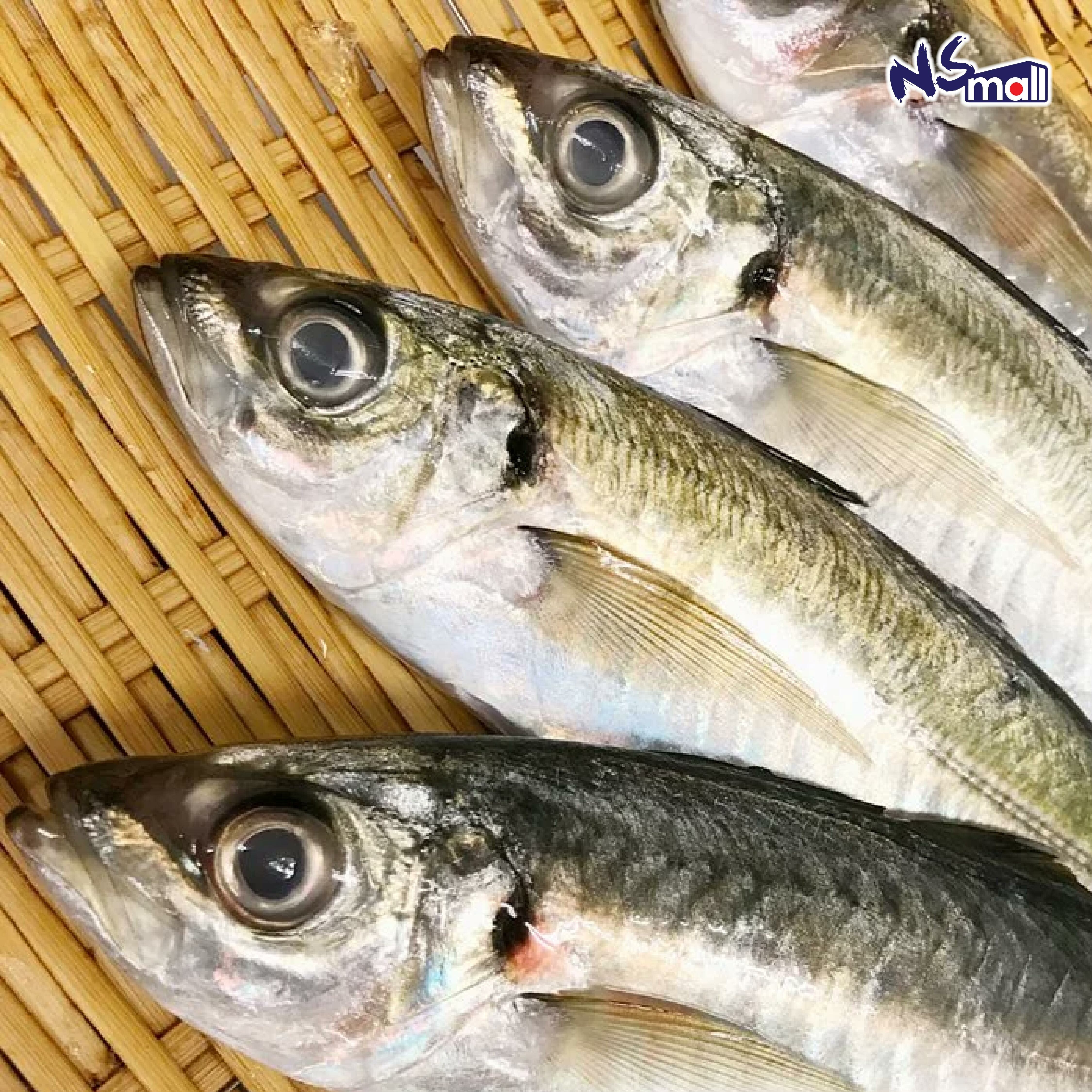 島根 Donchichi 池魚 約200-300g/條