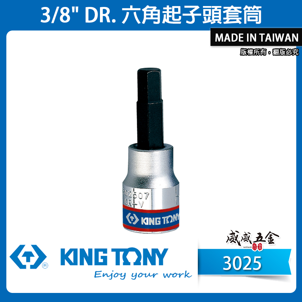 KING TONY 金統立｜3-10mm 三分 3分 手動-六角起子頭套筒 3/8" 內六角凸套筒｜3025