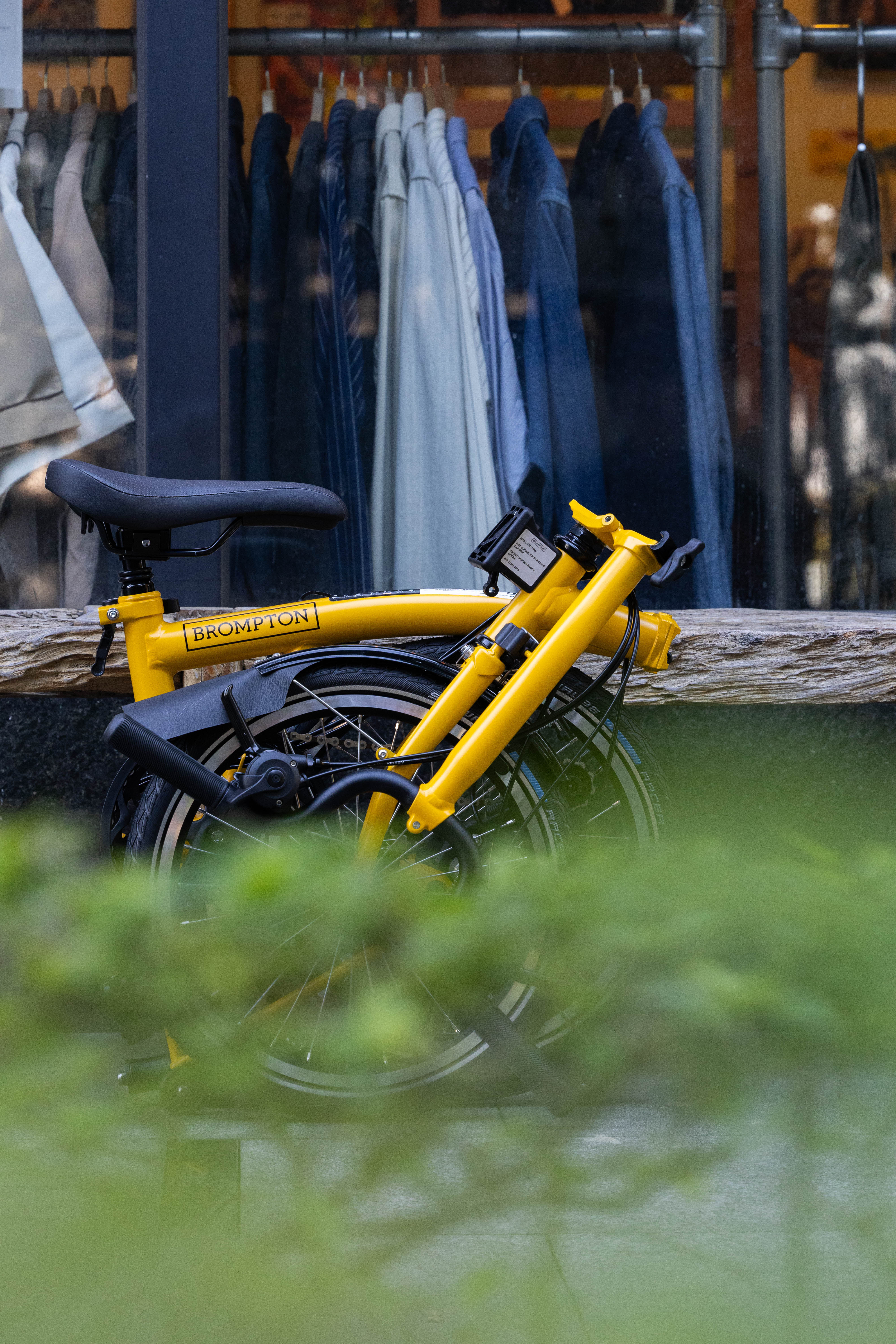 現貨【Brompton】MY25 C Line /大黃蜂/Bumblebee/M6L/S2L