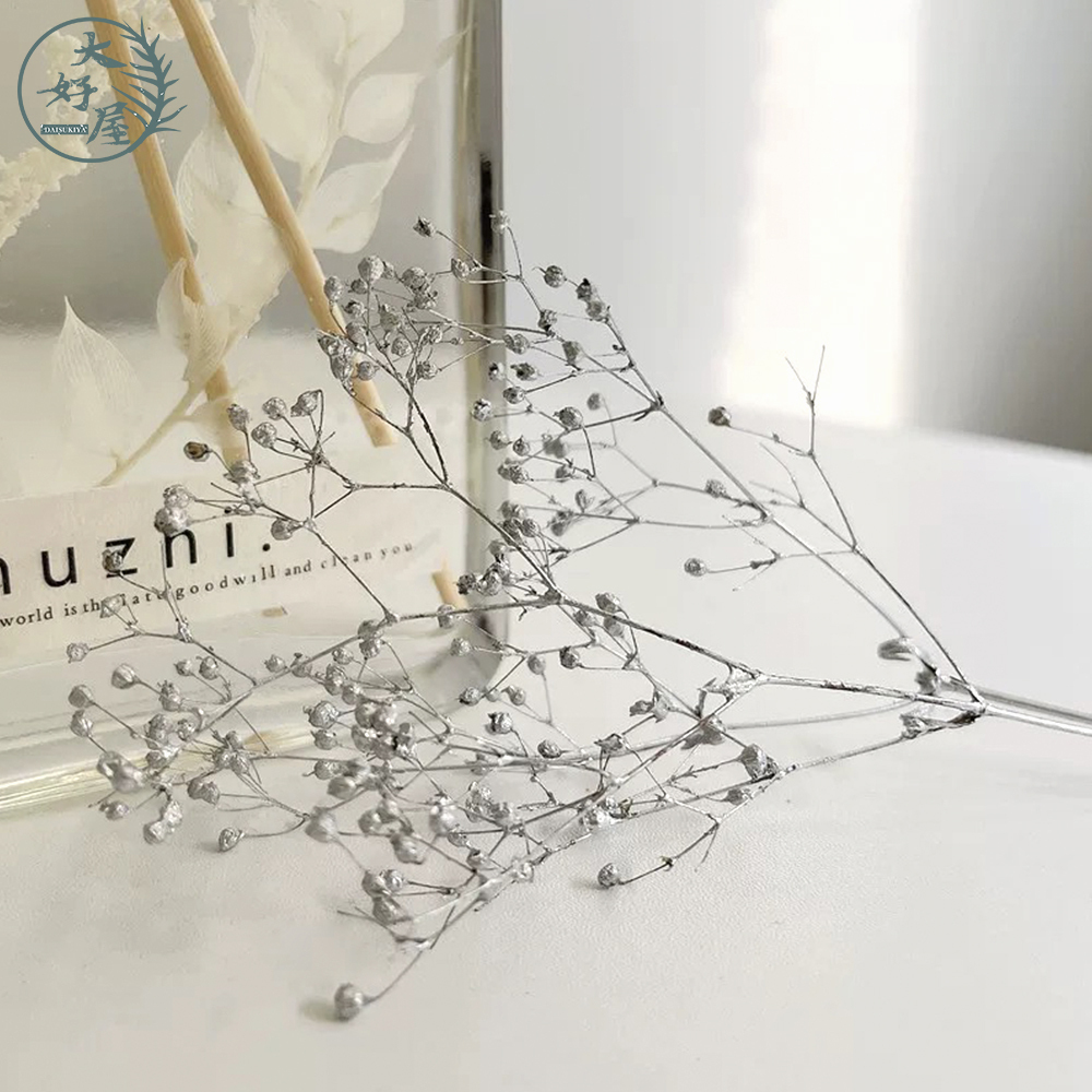 永生迷你滿天星【2g裝】