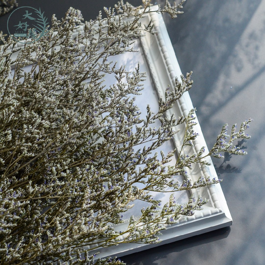 永生卡斯比亞【大束裝】