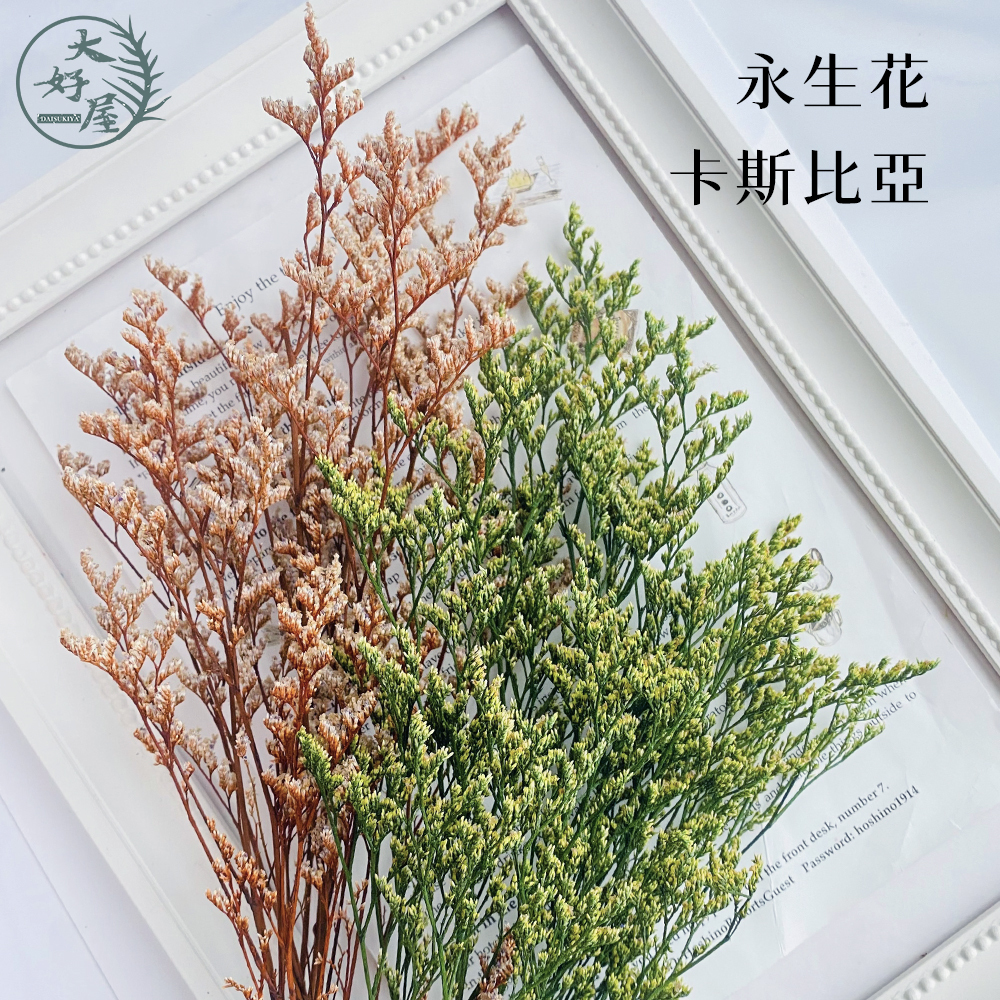 永生卡斯比亞【小束裝 / 5g裝】