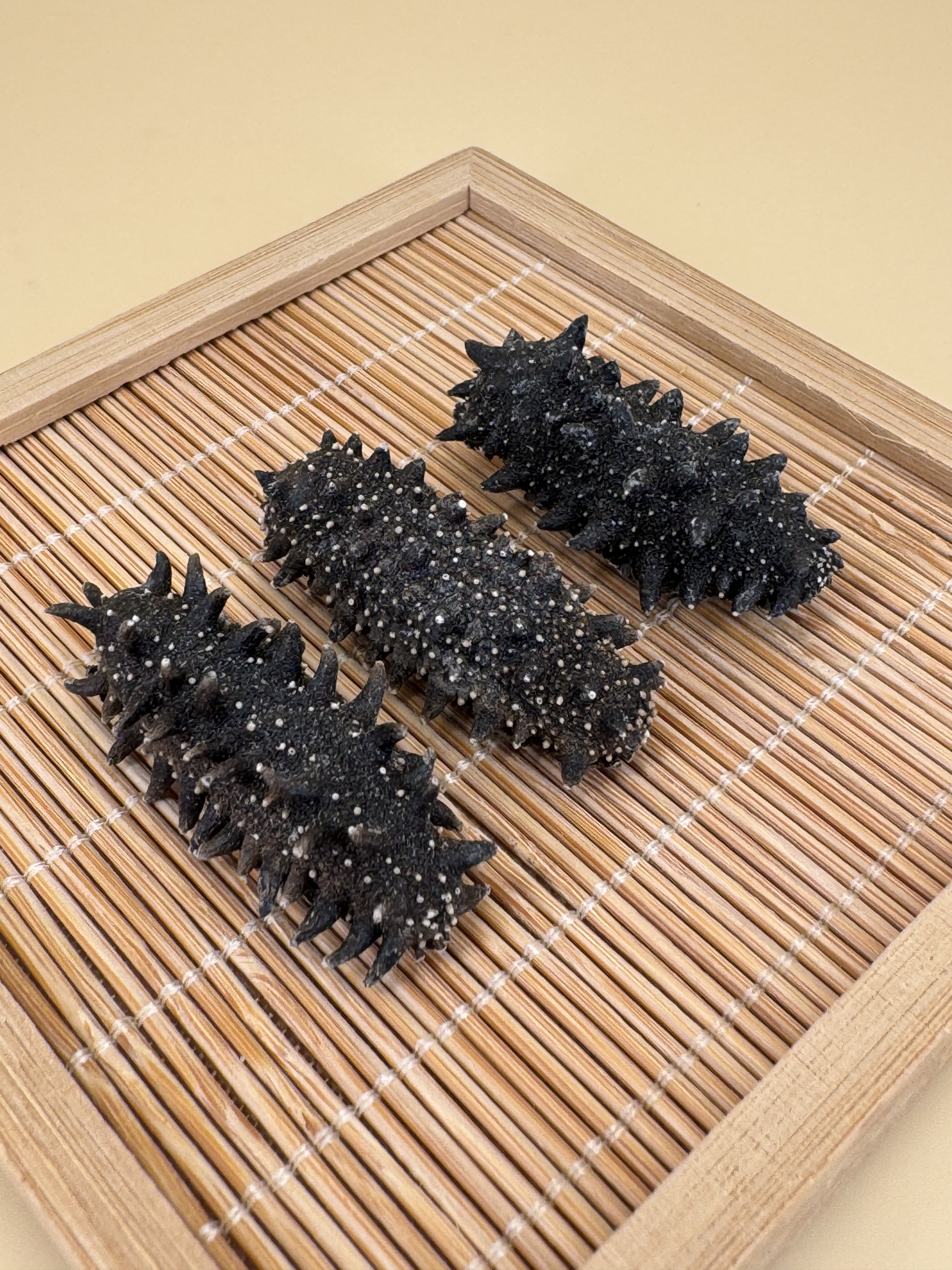 115支北海道遼參