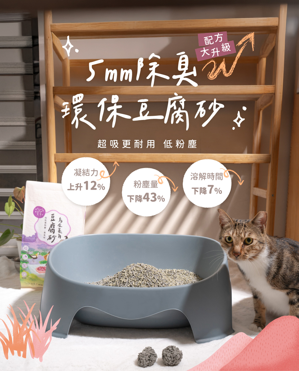 豆腐砂改版設計