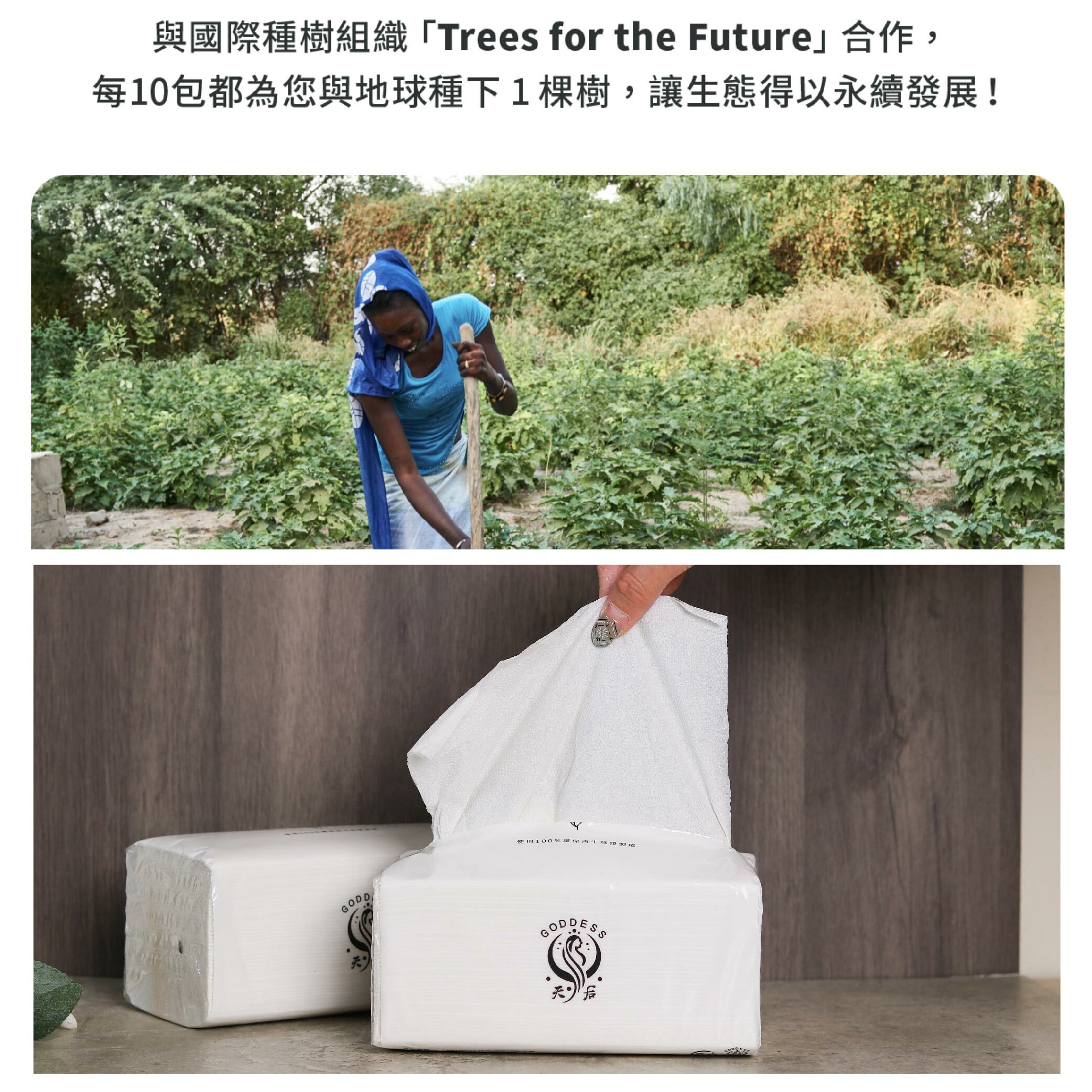 【捐衛生紙】幫助弱勢家庭-衛生用品募集（贈環保衛生紙一串6入）