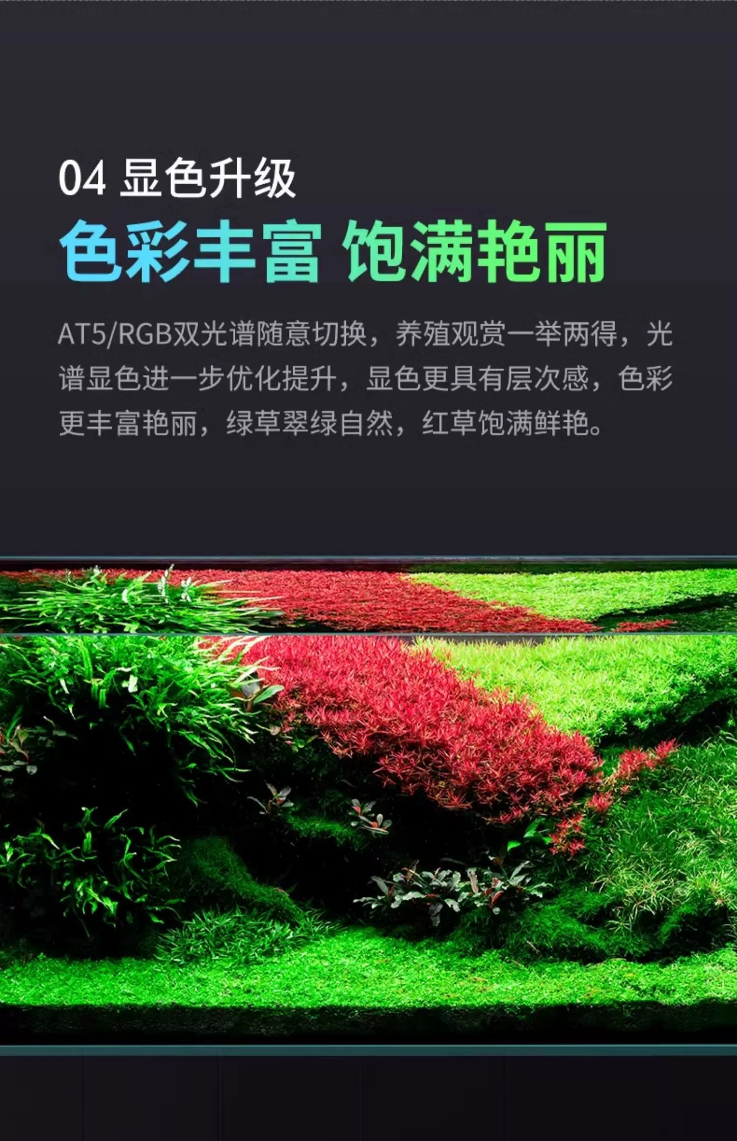 尼特利旗艦專業級全光譜水草燈AT6S二代