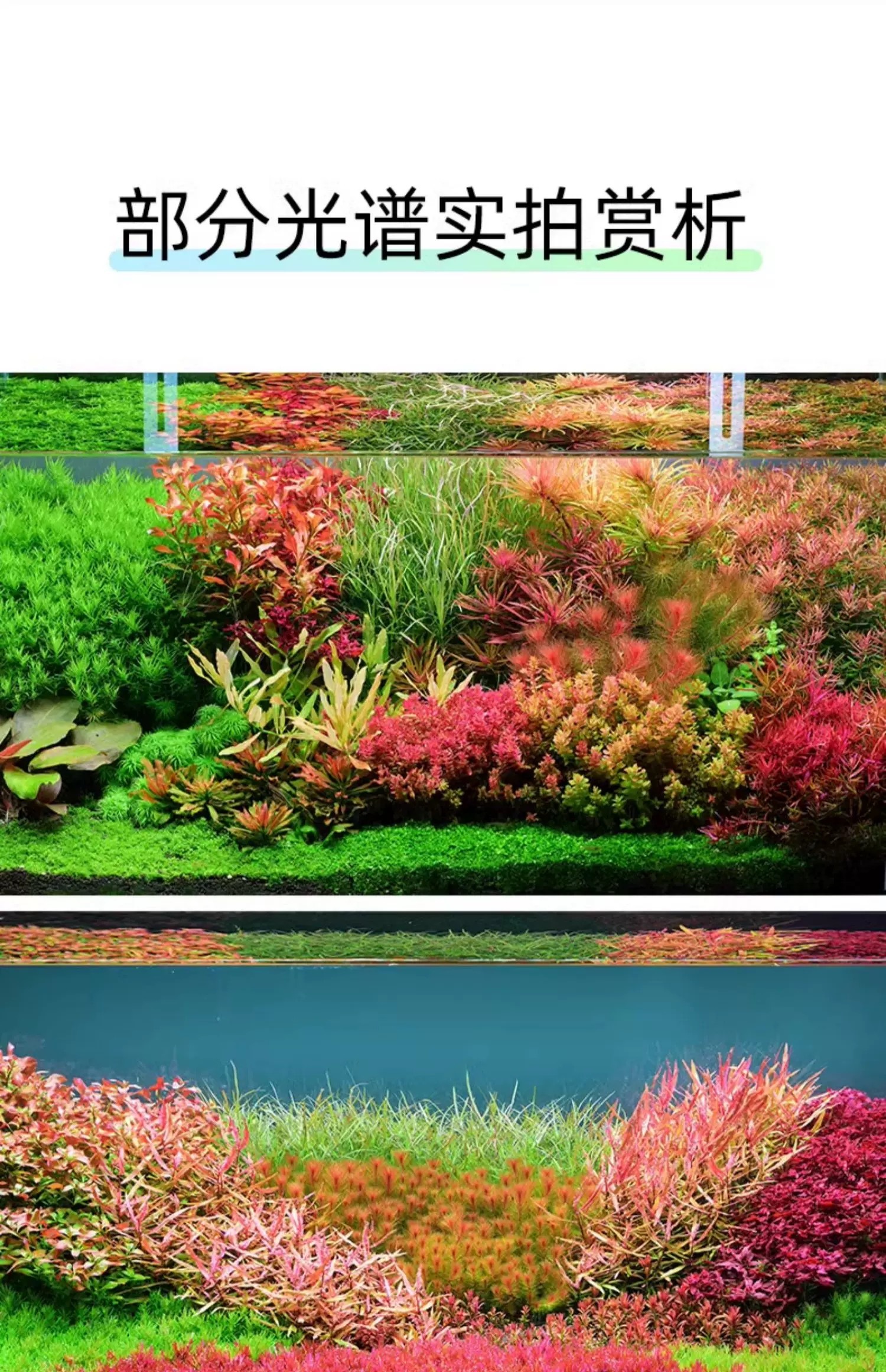 尼特利旗艦專業級全光譜水草燈AT6S二代