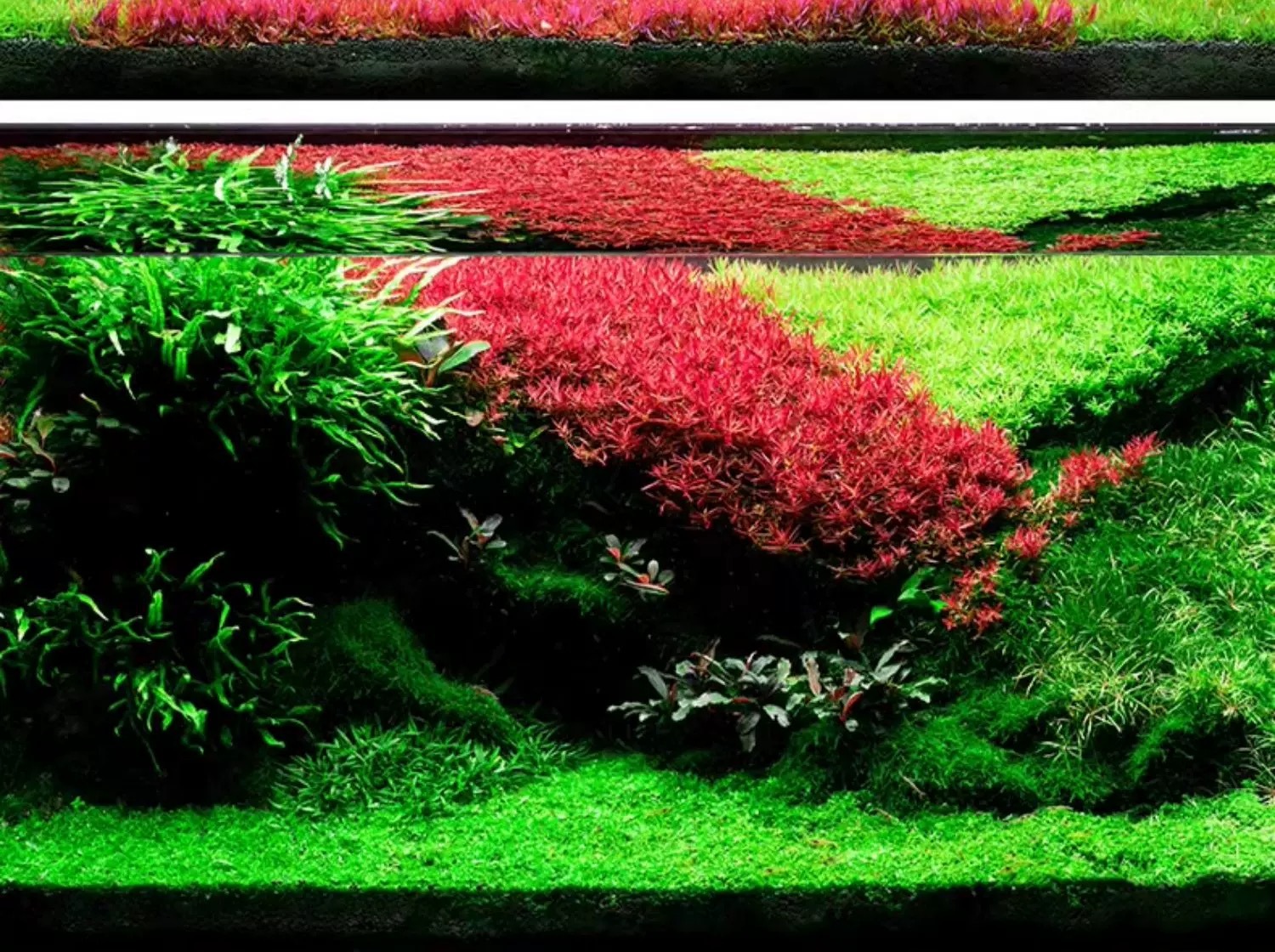 尼特利旗艦專業級全光譜水草燈AT6S二代