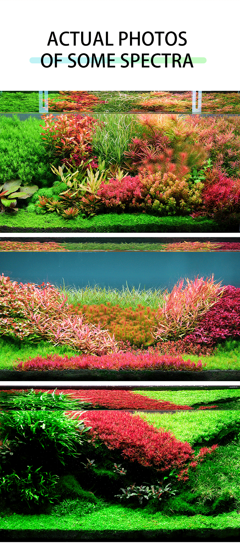 NETLEA THOR Professional Aquatic Plant Light AT6S II & AT6S MAX II