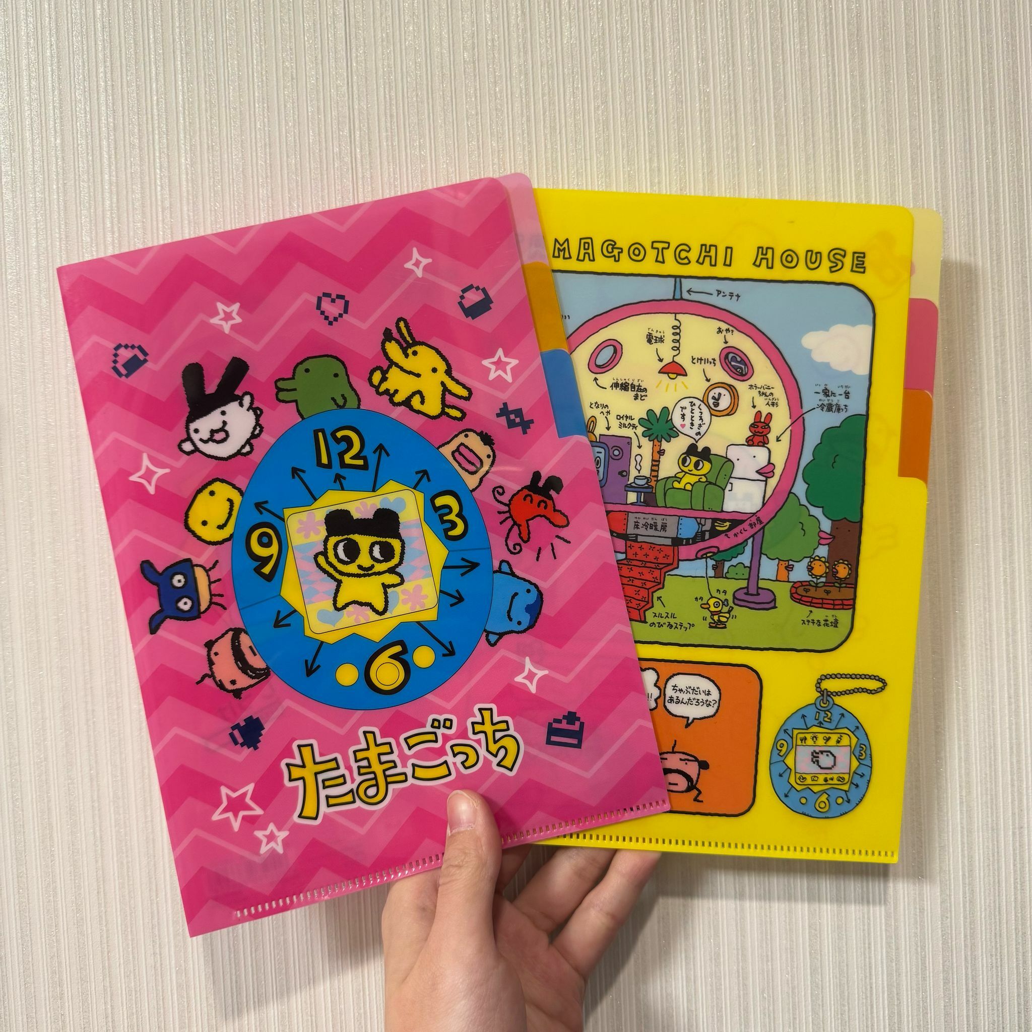 JP 他媽哥池 A5 File 5065 6058 TK240217