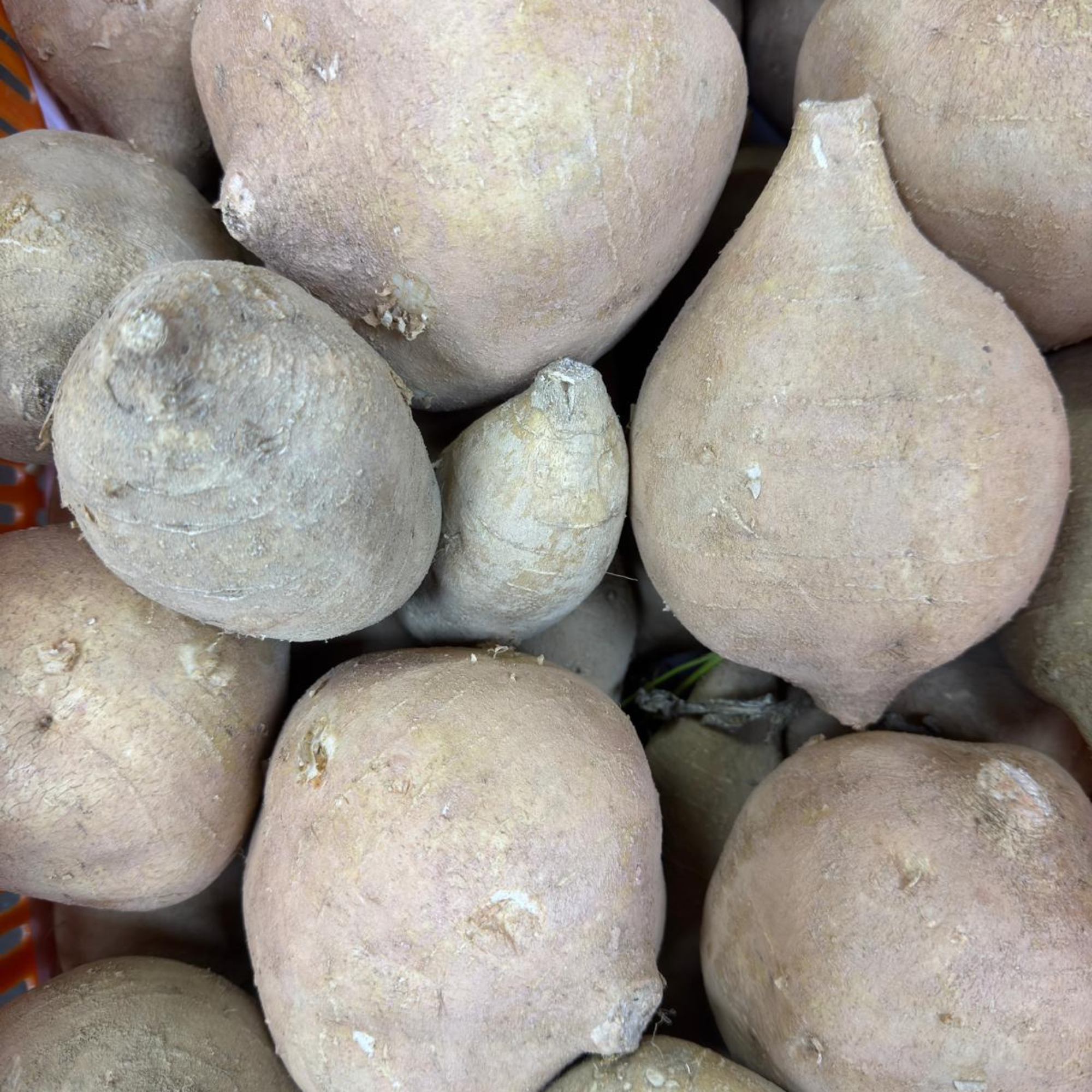 本地有機沙葛 (斤)