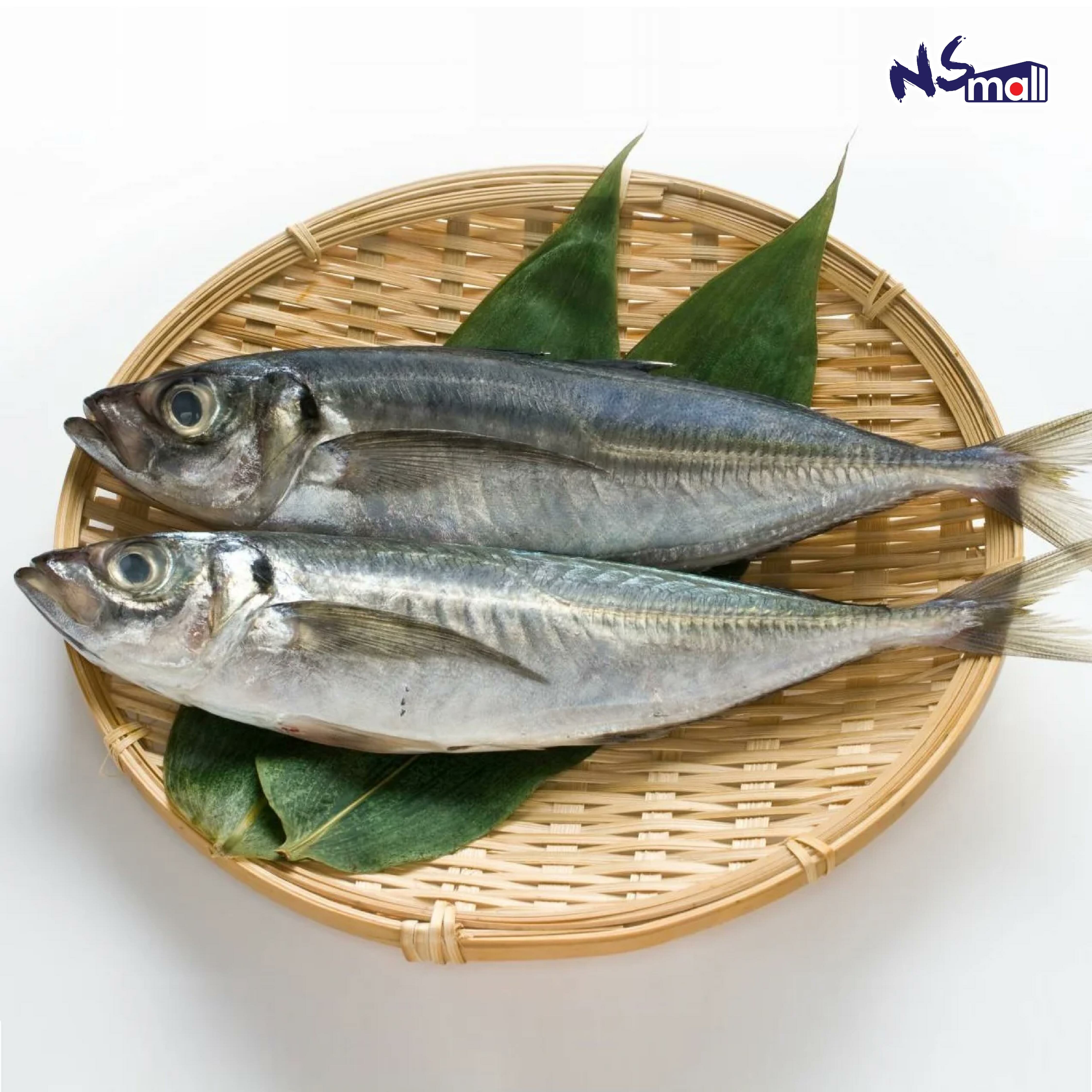 關池魚 約250-400g/條