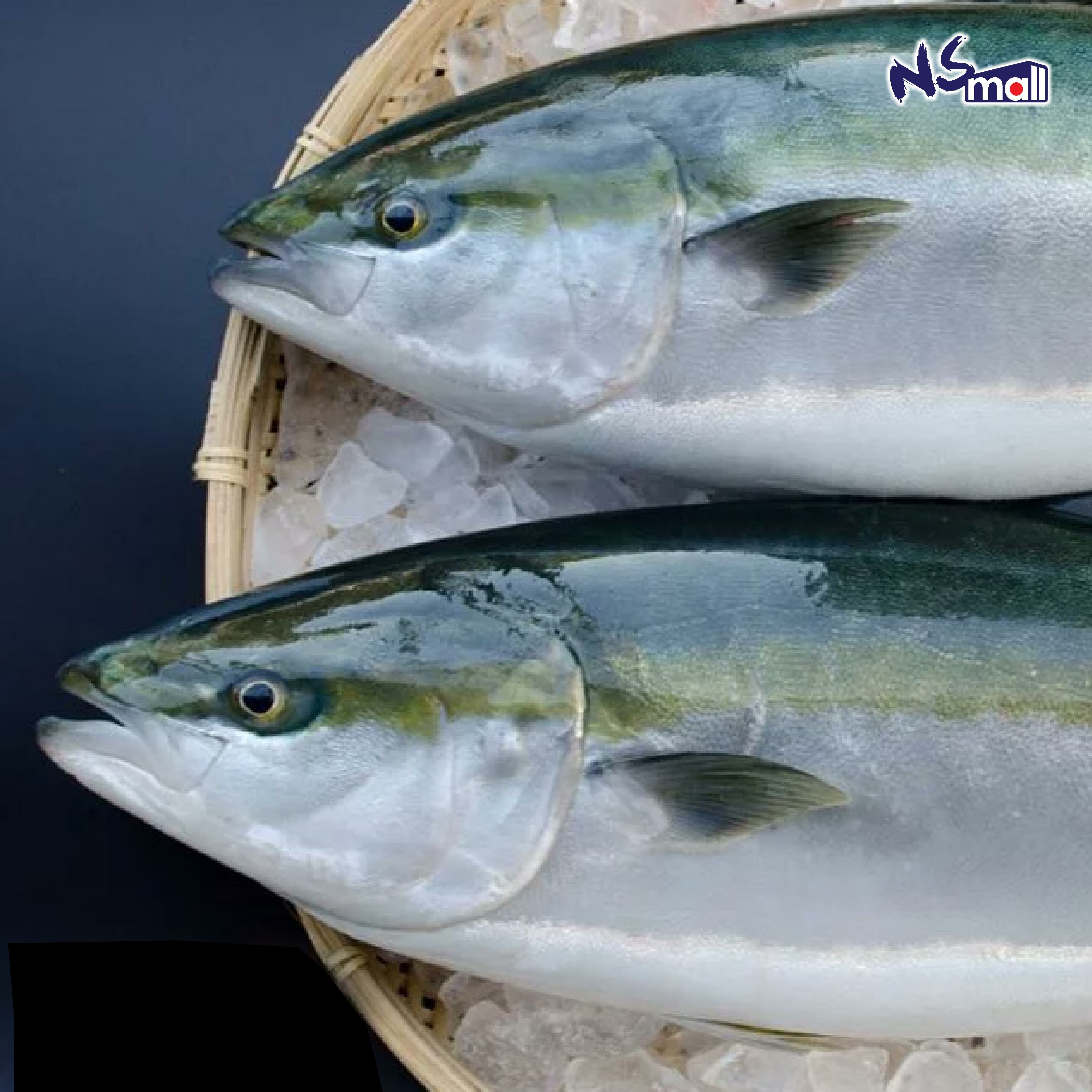 鰤魚 約10-12kg/條