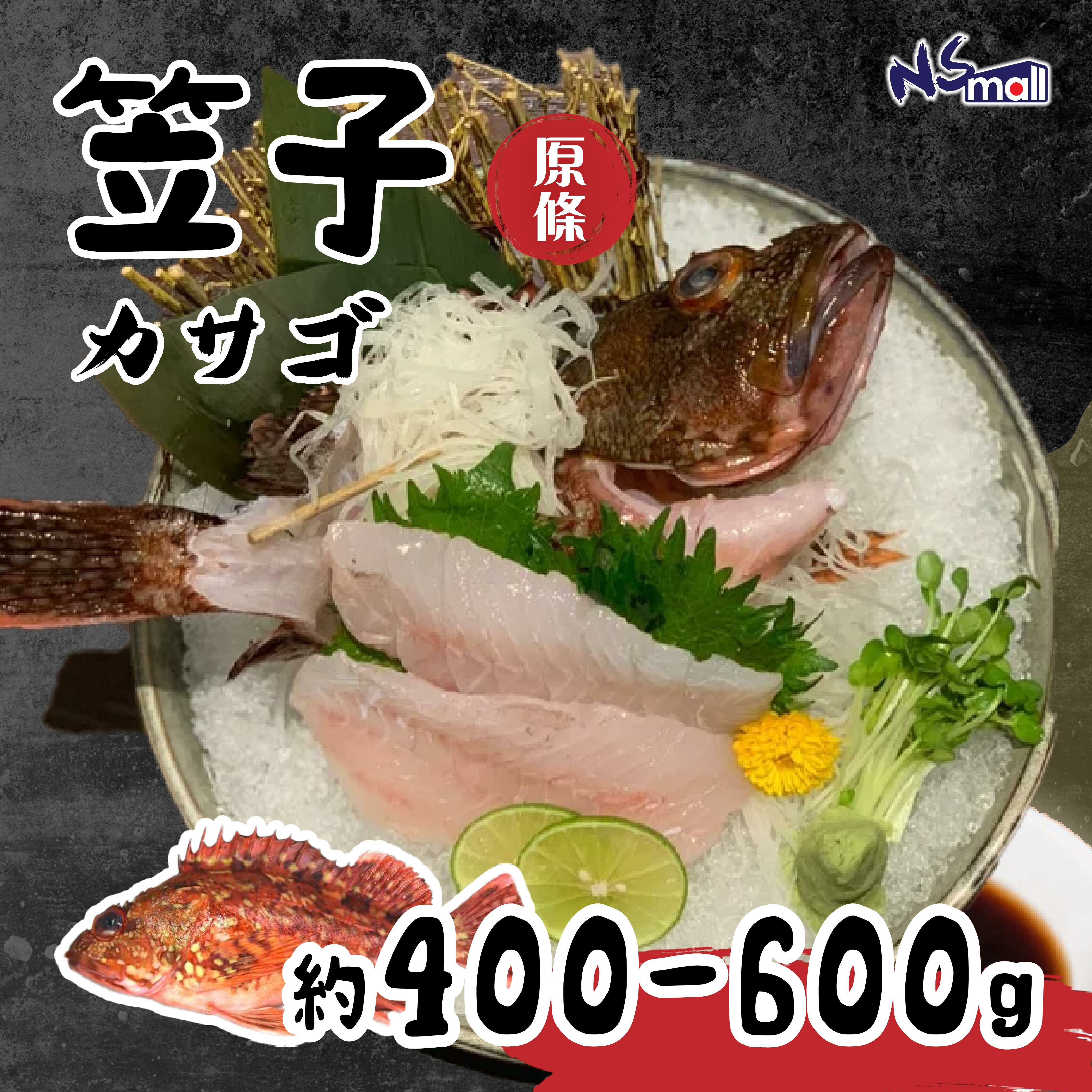 笠子 約400-600g/條