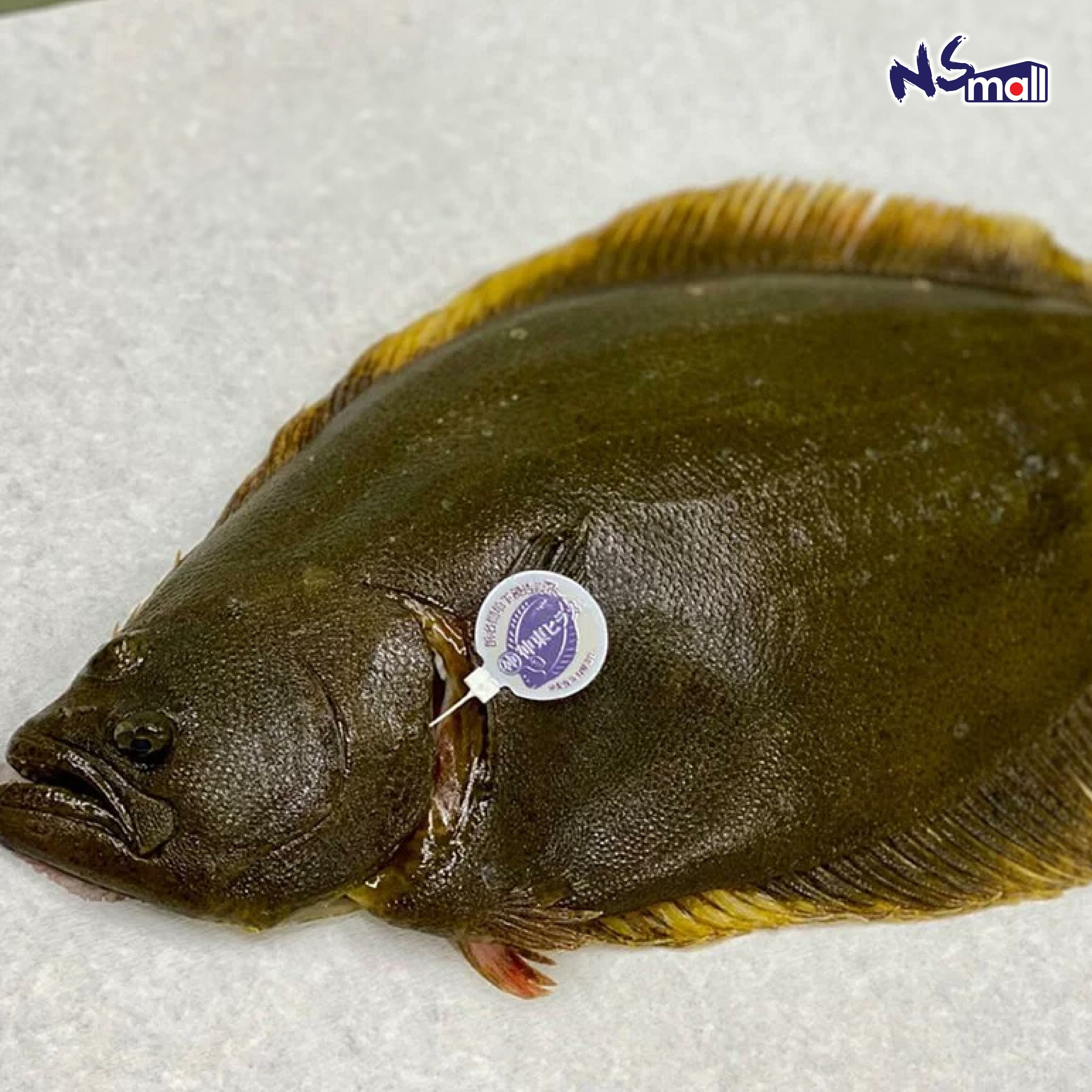 左口魚(養殖) 約1.5 -2kg/條