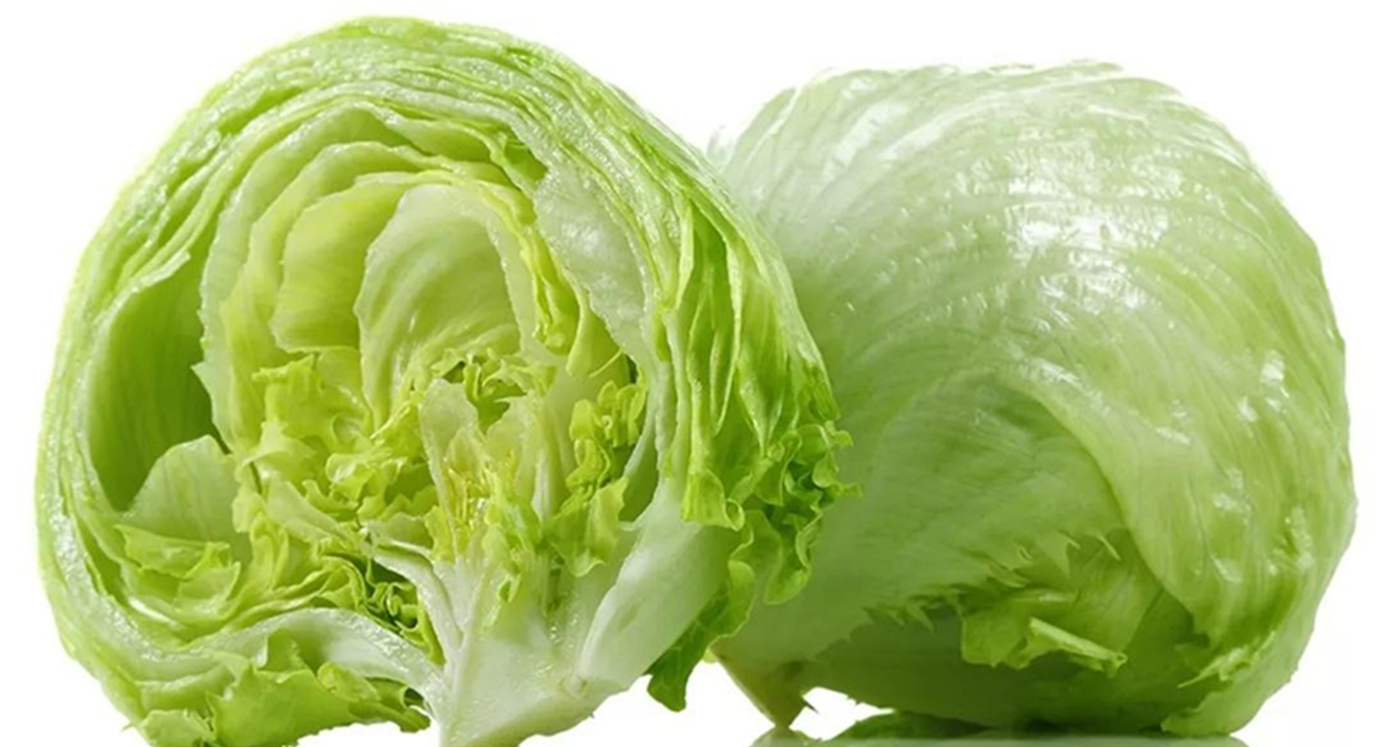 本地有機西生菜 (斤)