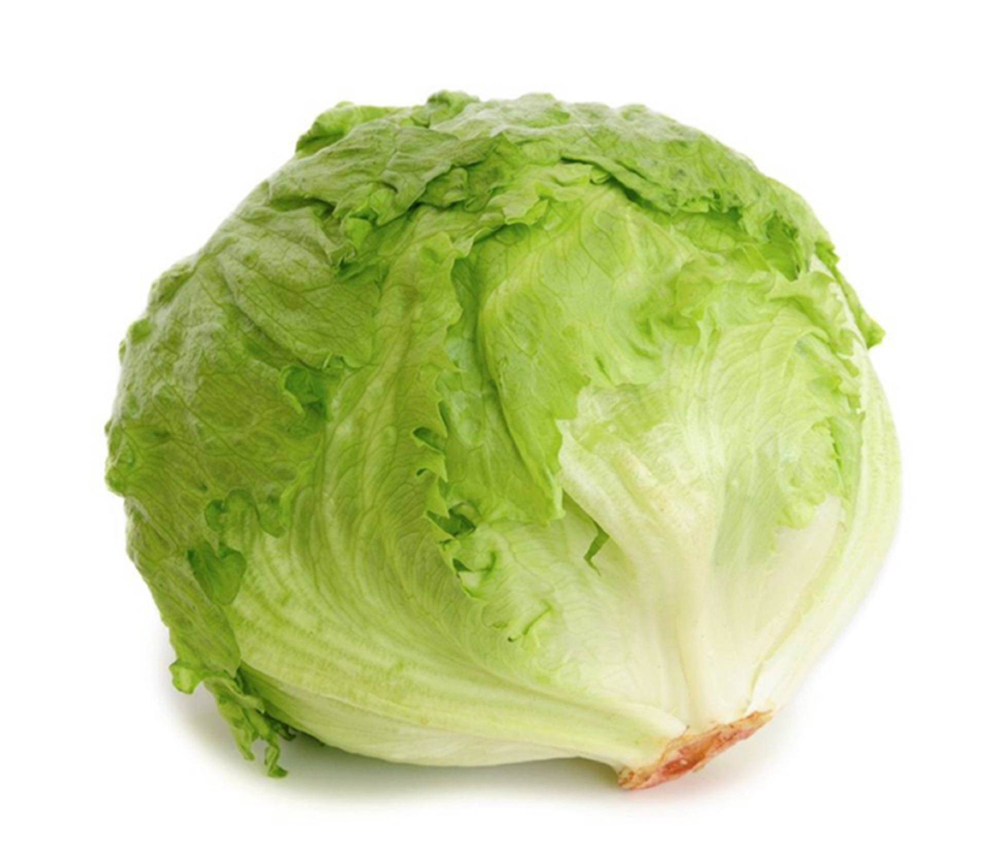 本地有機西生菜 (斤)