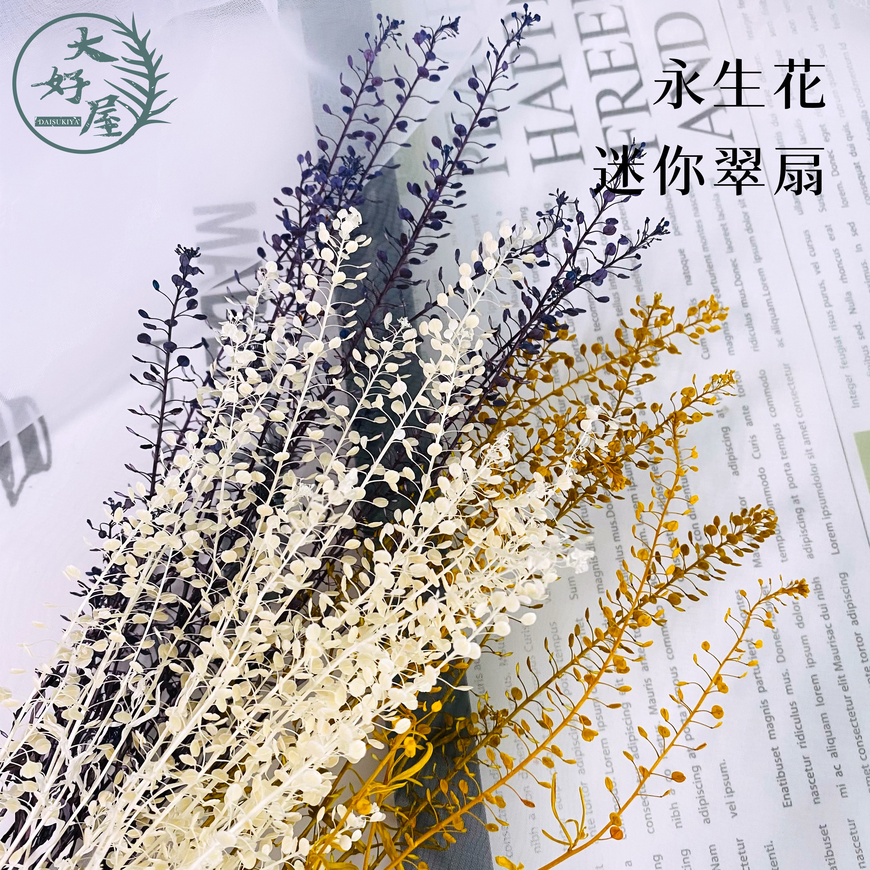 永生迷你翠扇【大束裝】