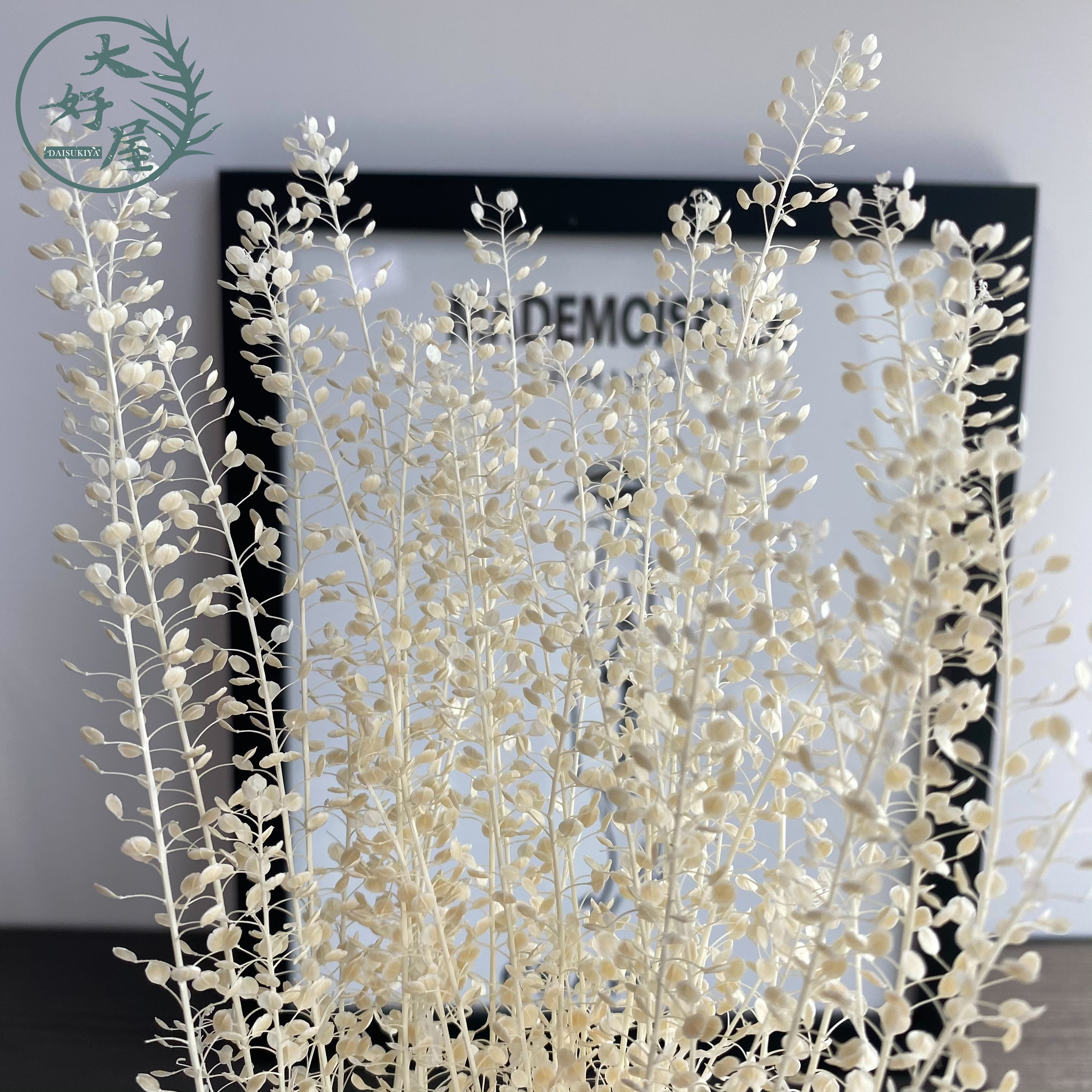 永生迷你翠扇【大束裝】