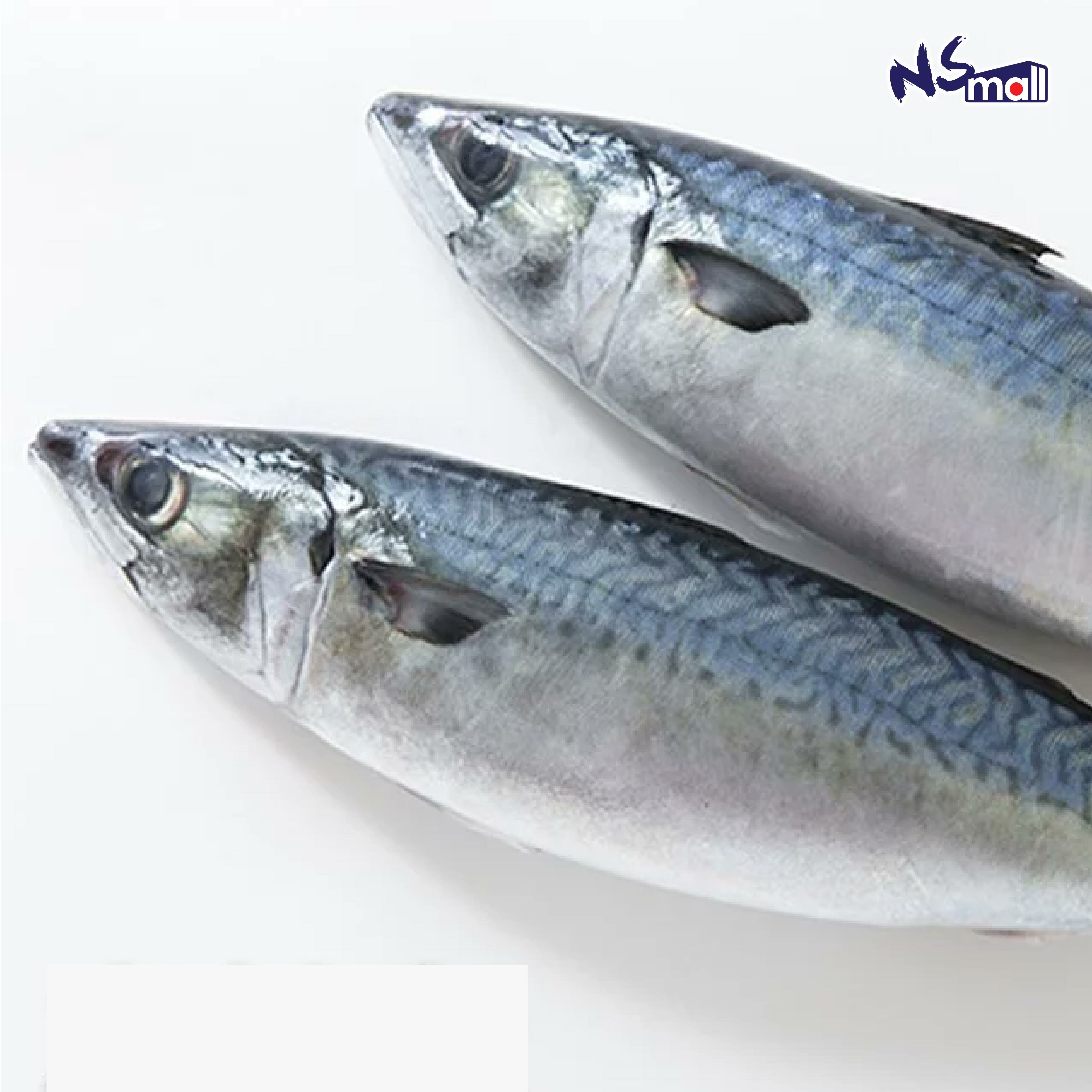 真鯖魚 約700g-1kg/條