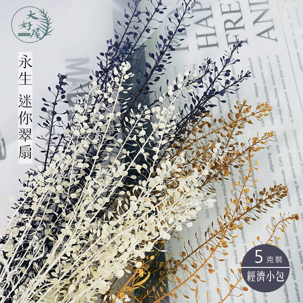 永生迷你翠扇【小束裝 / 5克裝】