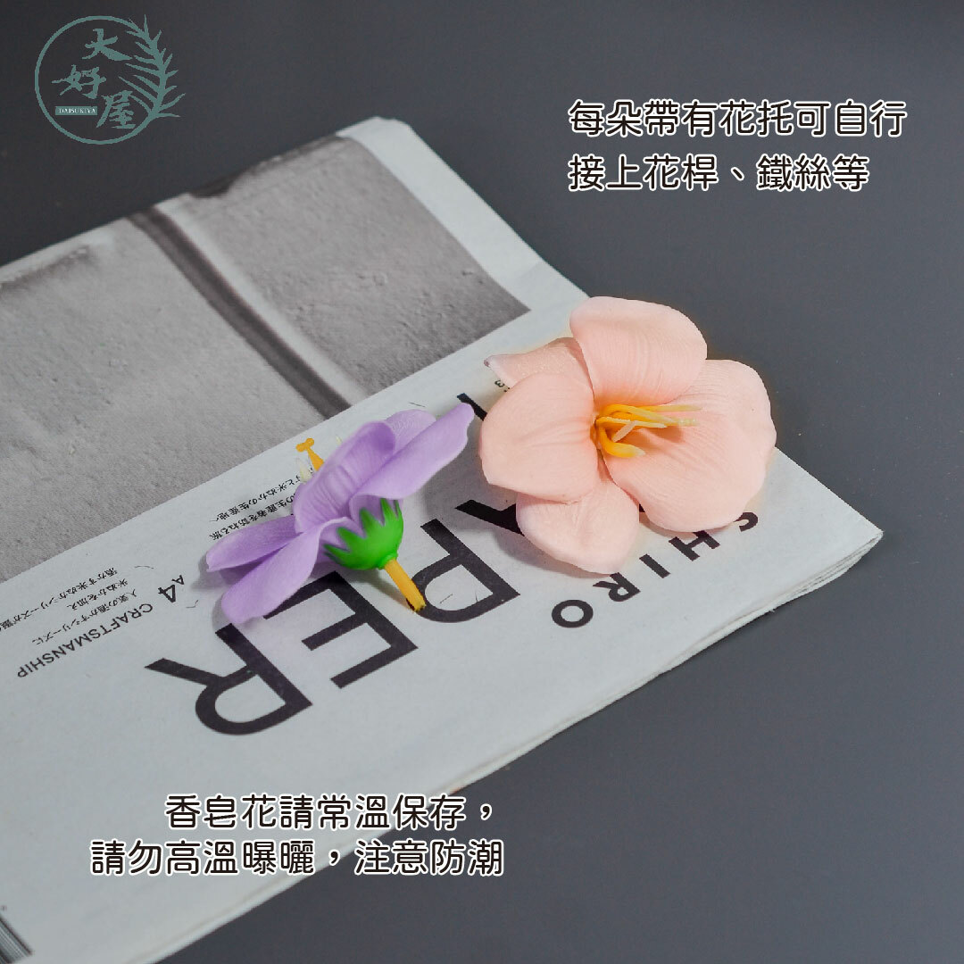 香皂開瓣鬱金香