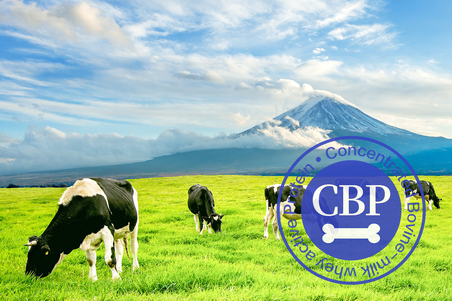 DHC兒童鈣片嚴選自 Seperex,添加高品質、高純度的CBP原料,粉末細緻白淨。