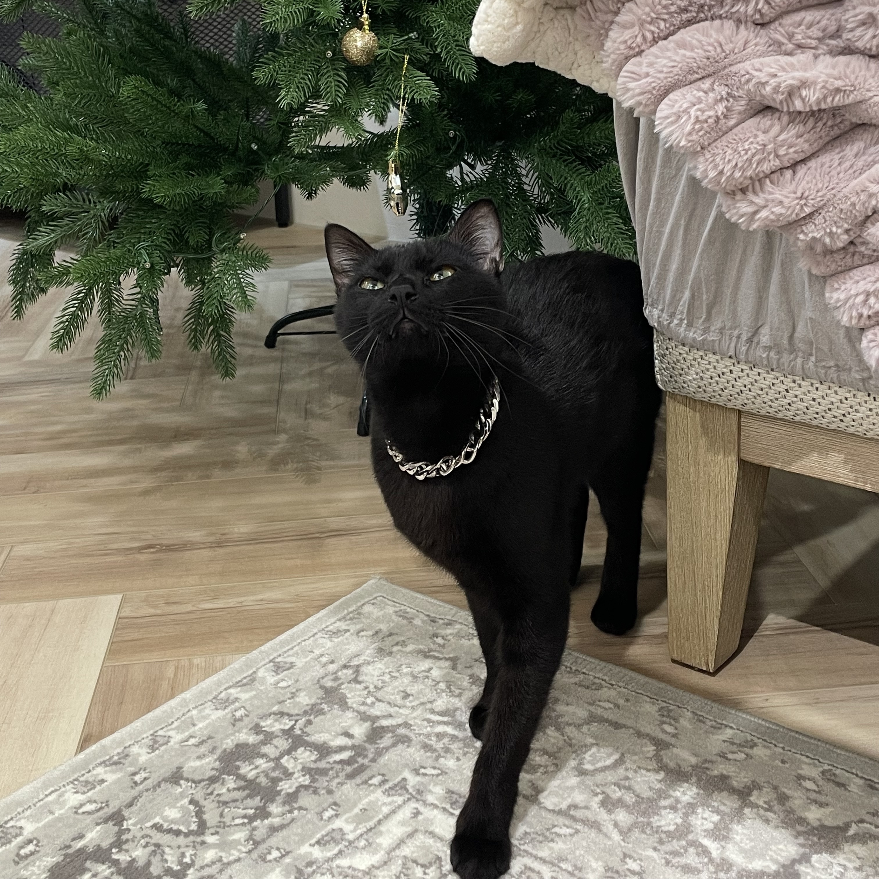 MAARI STUDIOS -Mila 手鍊