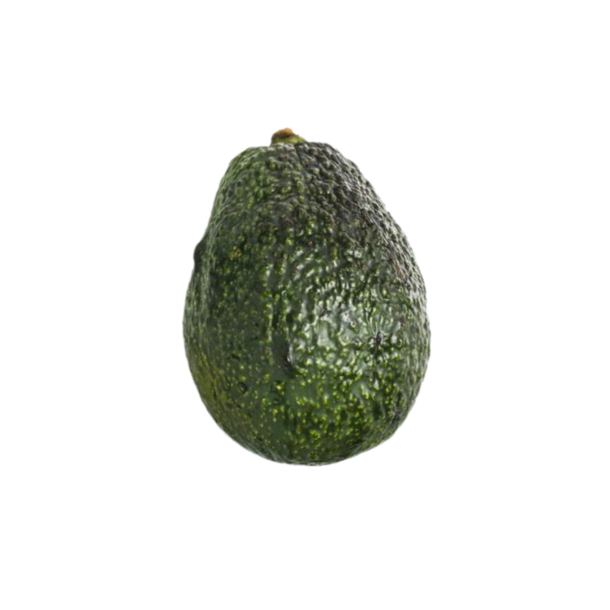 Avocado (Australia 18's)  (BAG)