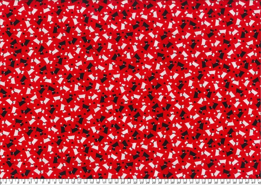 進口棉布R250219-004(一尺)