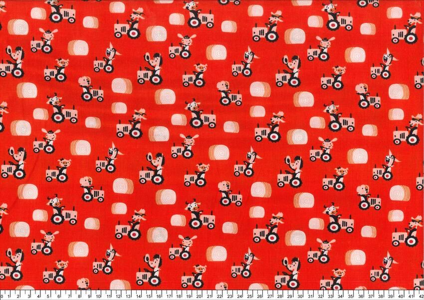 進口棉布R250219-007(一尺)