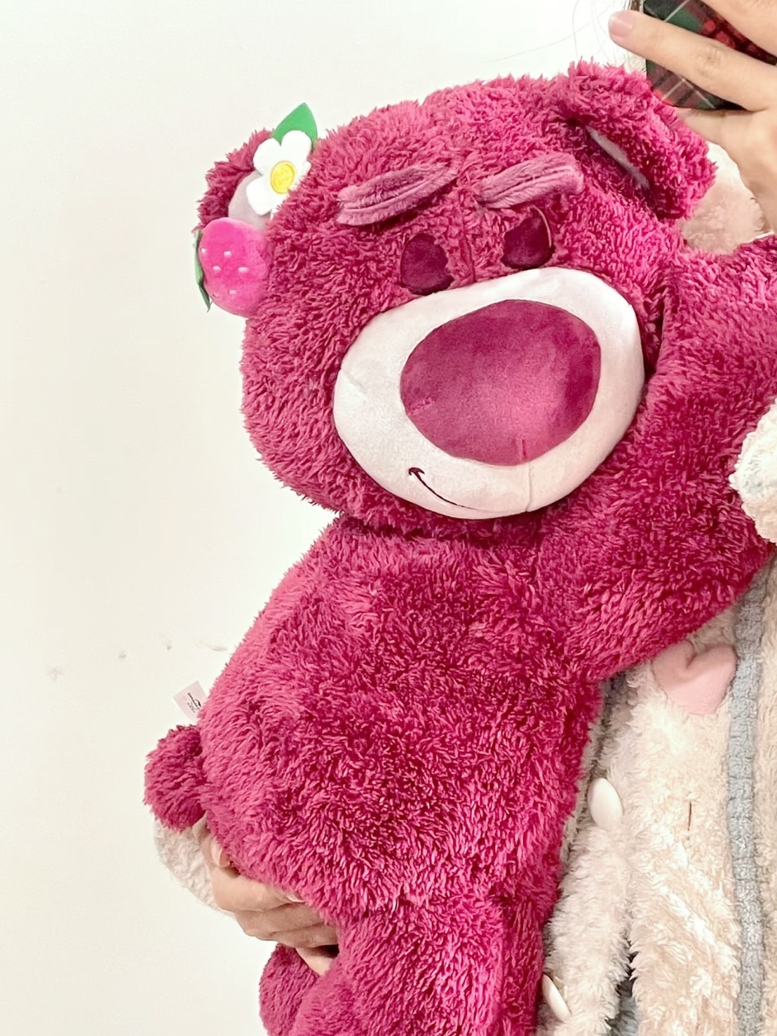 DISNEY 草莓熊 熊抱哥 公仔毛毯二合一