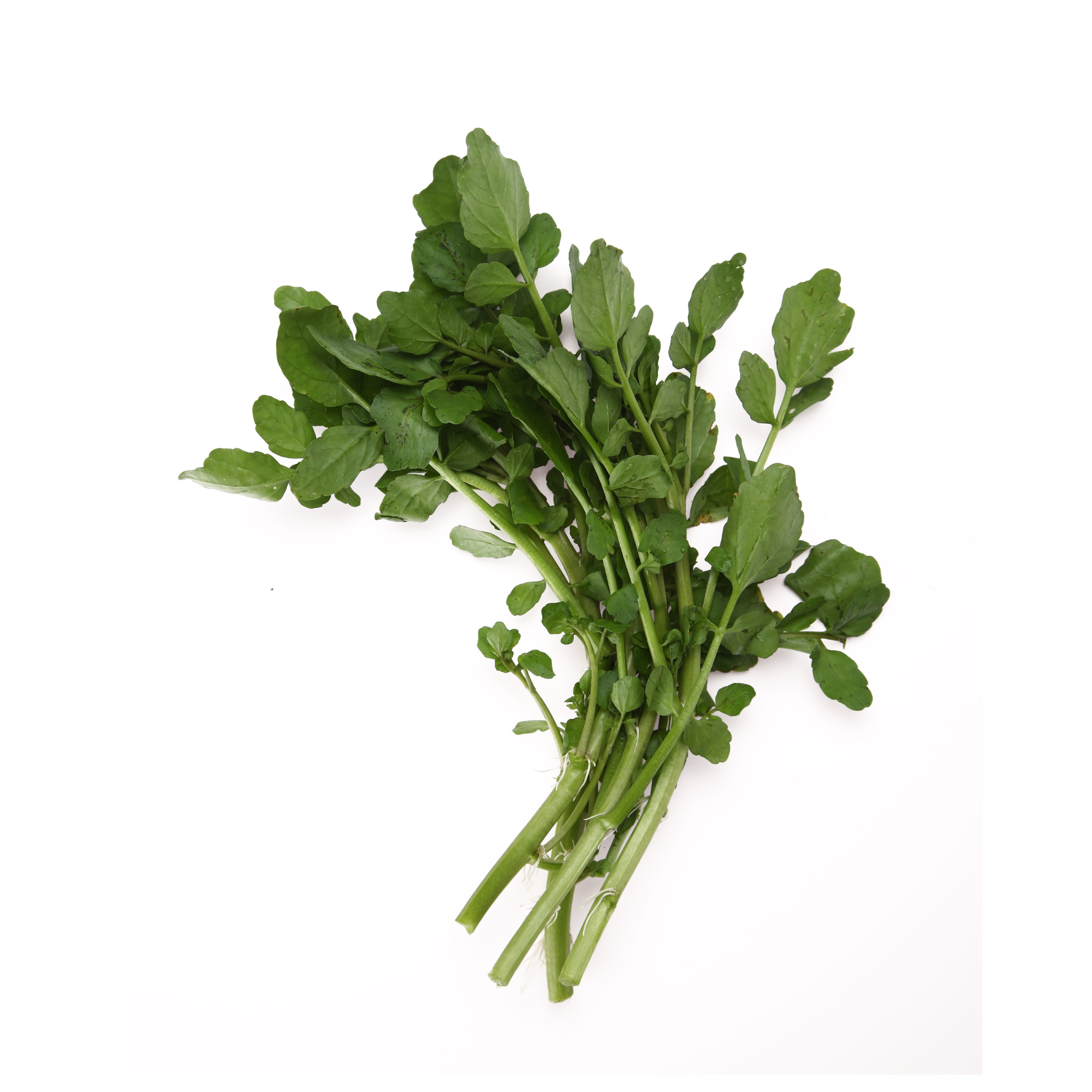 Accredited Local Water Cress (CATTY)
