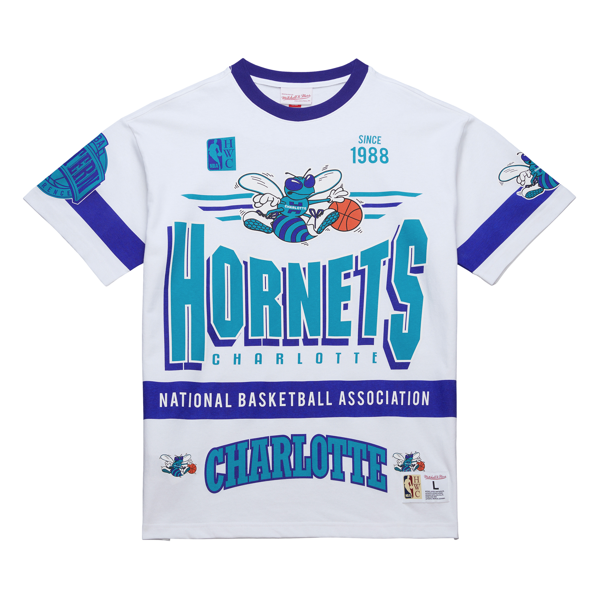 Mitchell & Ness TEAM ORIGINS PREMIUM SS TEE CHARLOTTE 白 短袖 MN25ATS12CH [台灣現貨]