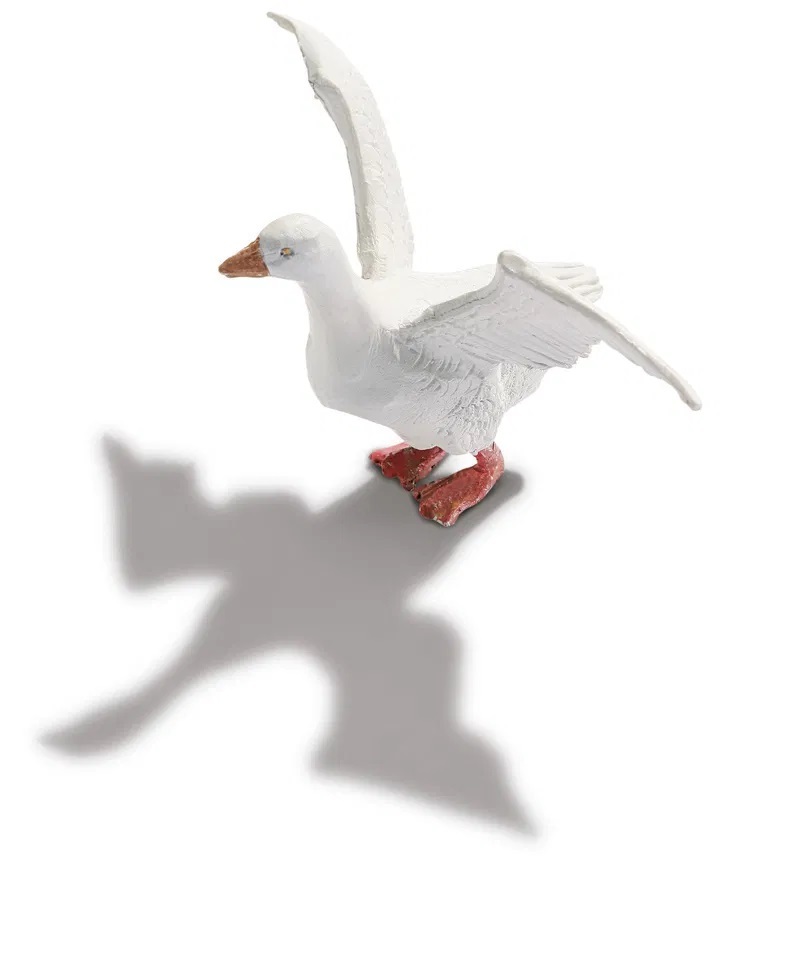 Noch 36711 N規 農場動物