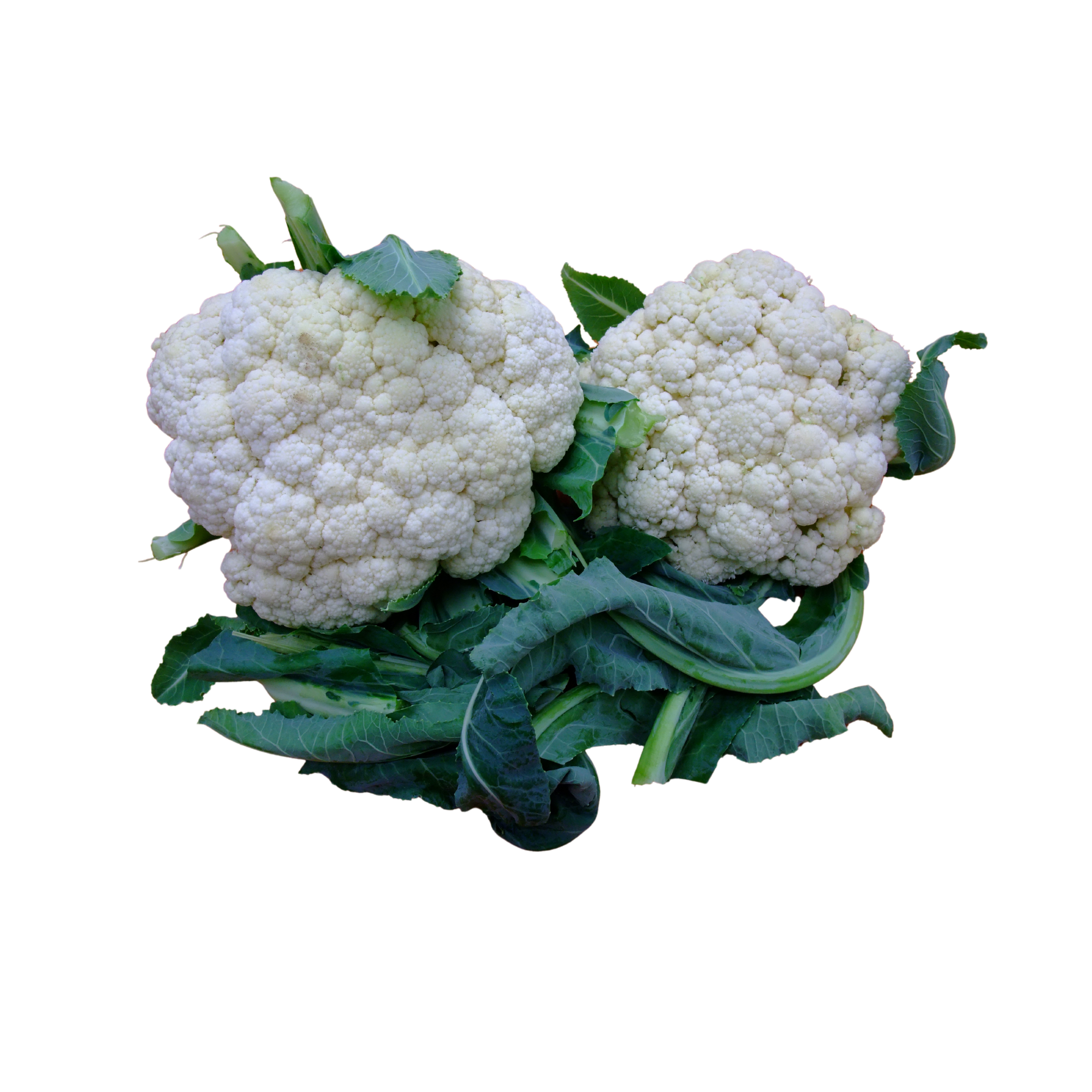 本地有機椰菜花 （/開邊）(斤)