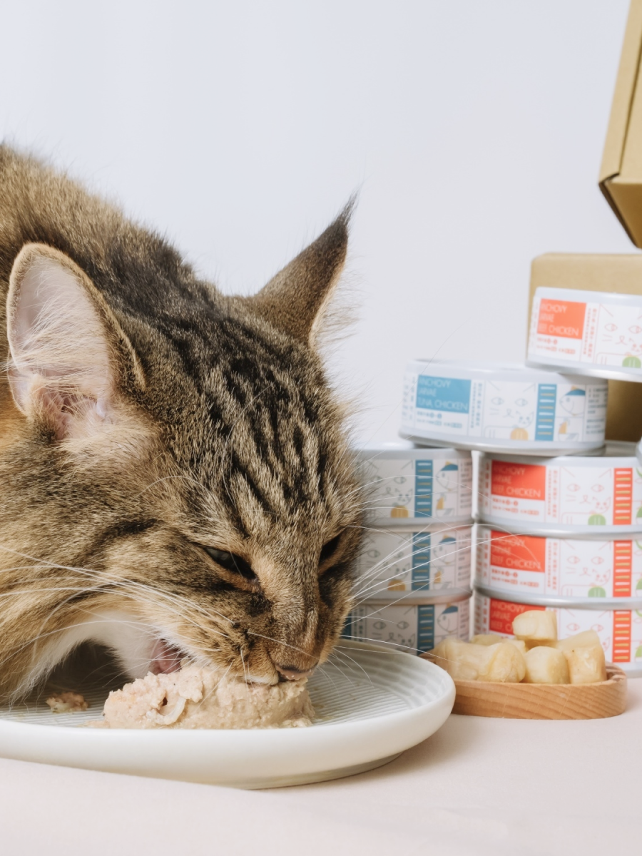 【貓爾地夫】全齡貓營養升級系列 健康主食罐｜魩仔魚∙櫻桃鴨∙雞胸肉 (plus⁺滴雞精)