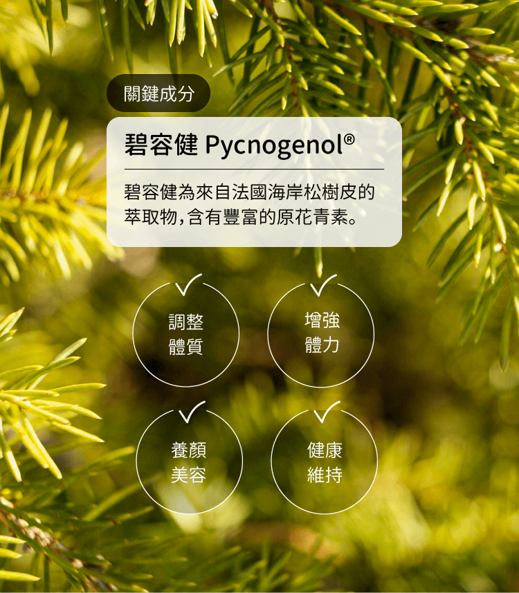 碧容健功效：調整體質、養顏美容、維持健康、增強體力-CHEGO營養補給