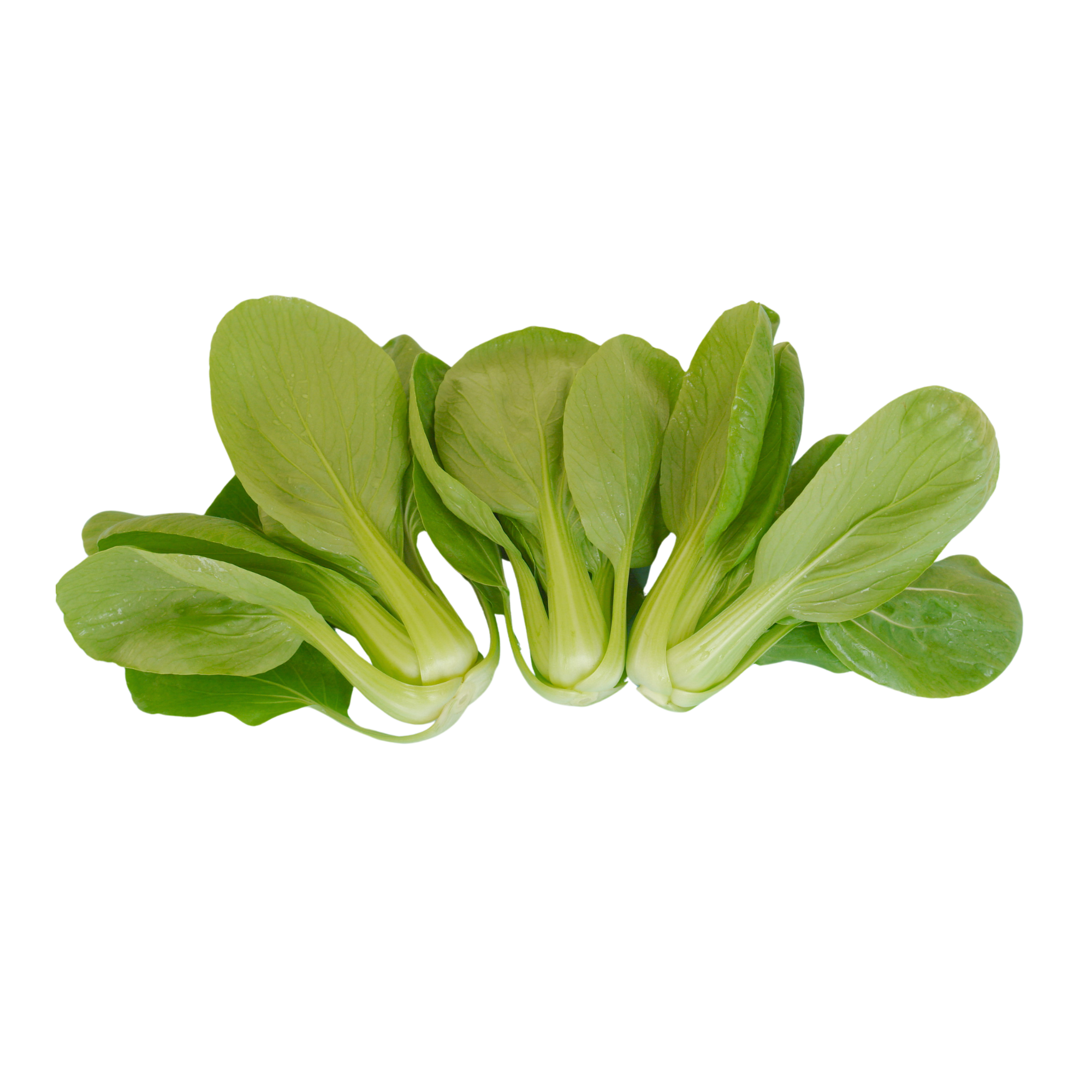 本地有機小棠菜 (斤)