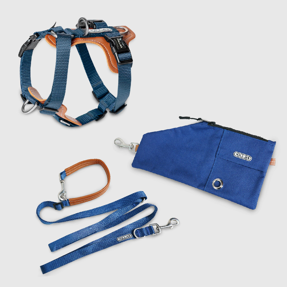 寵物用品｜工型防爆衝背帶 狗狗牽引繩 遛狗隨行包