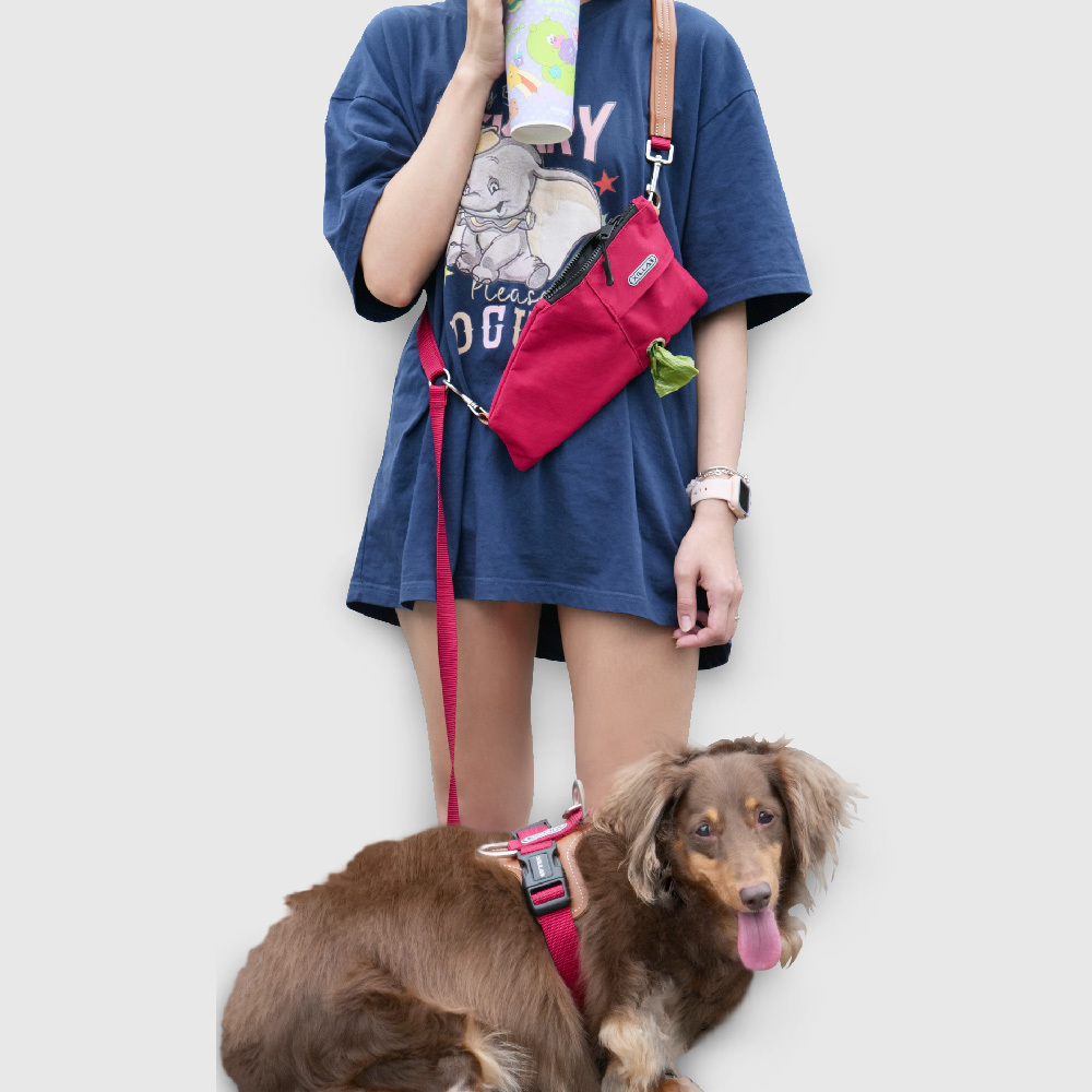 寵物用品｜工型防爆衝背帶 狗狗牽引繩 遛狗隨行包