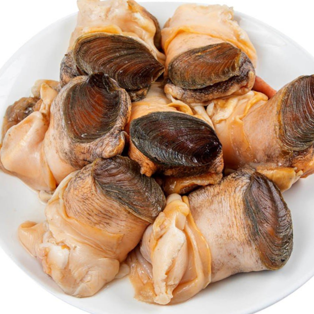 US Conch Meat 2.44LB/Box