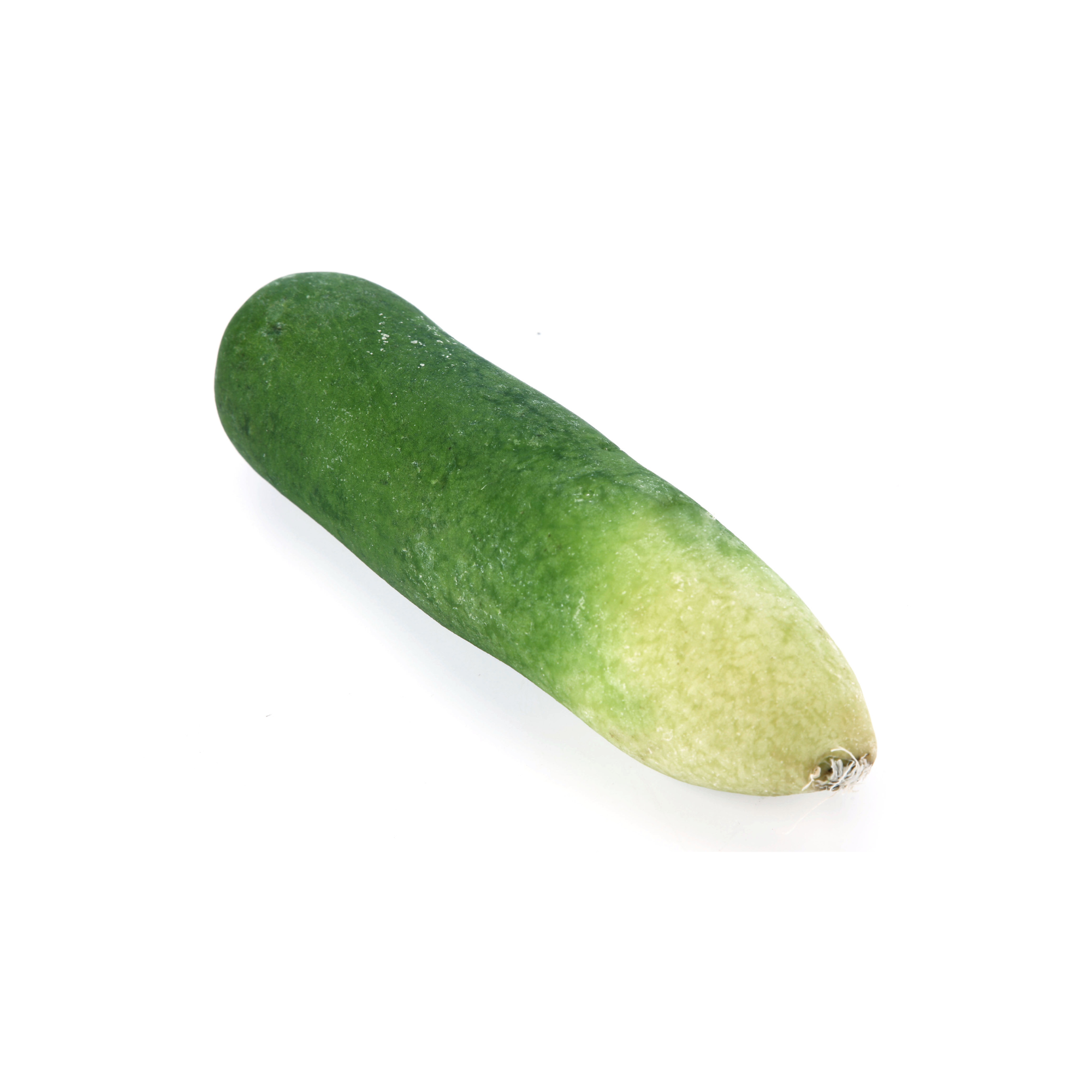 本地有機青蘿蔔 (斤)