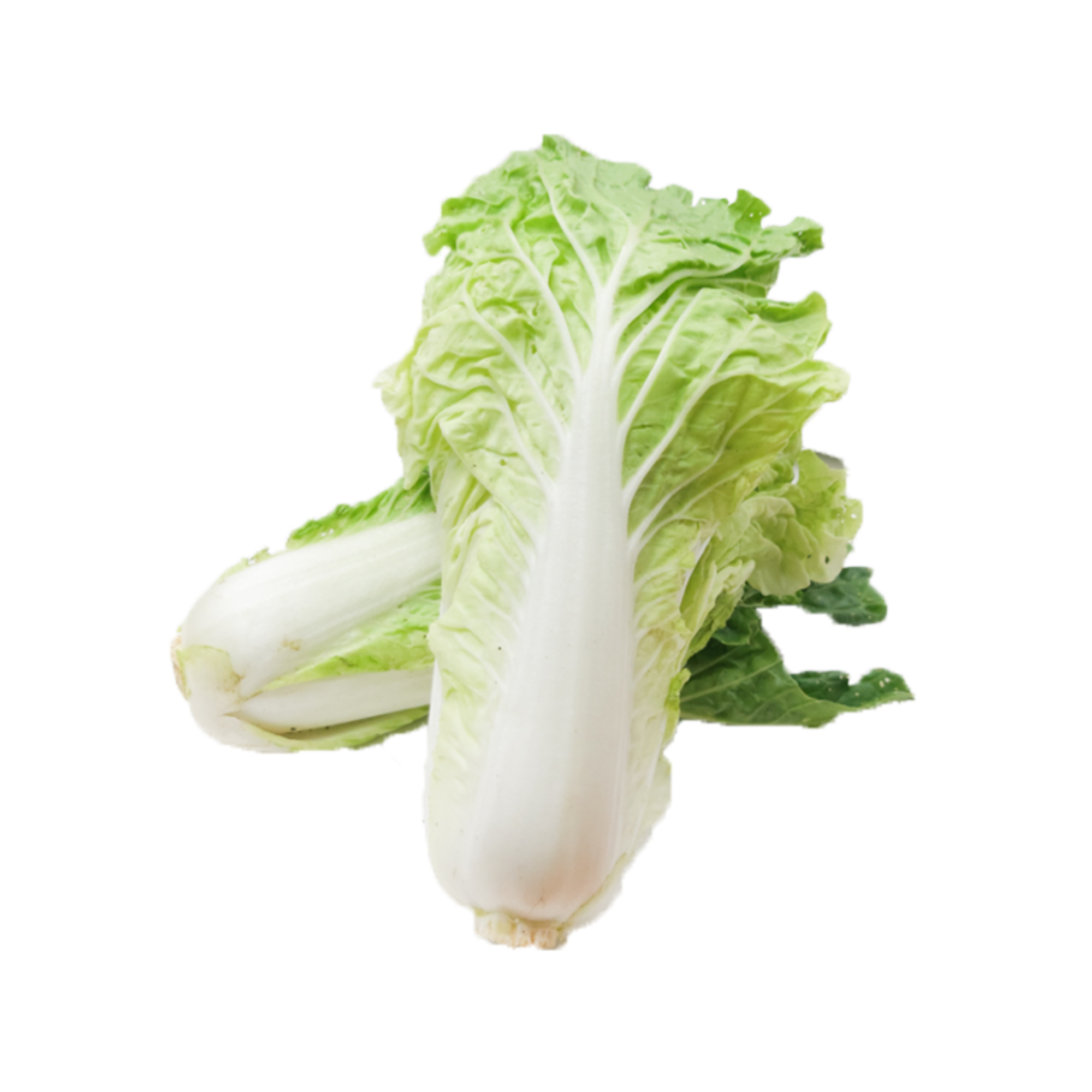 Local Organic Tientsin Cabbage (CATTY)