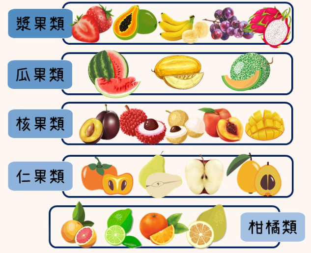 水果, 水果是什麼, fruit what is fruit