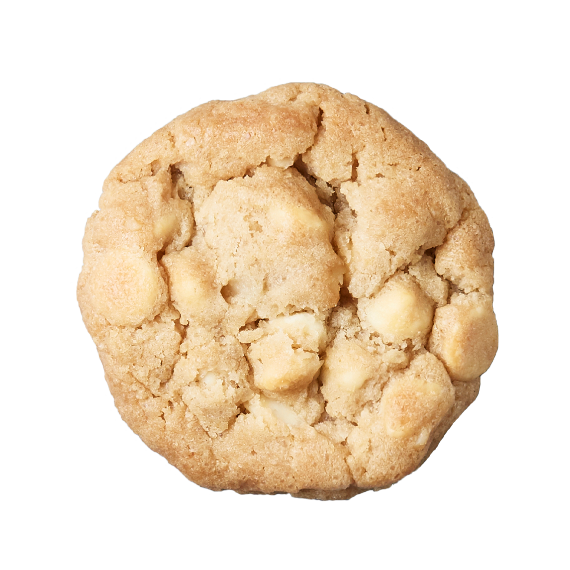 白巧克力夏威夷果仁餅乾 5片